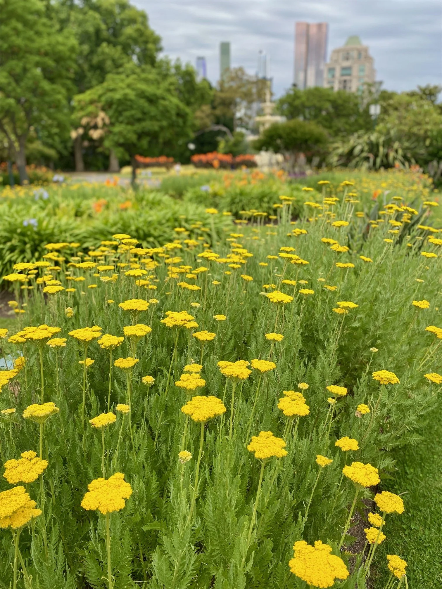 Carlton Gardens, Melbourne