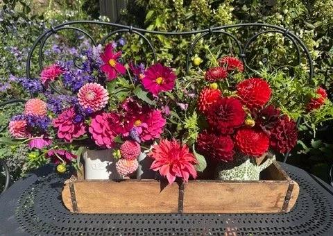 Friday Florals Kim Aitken
