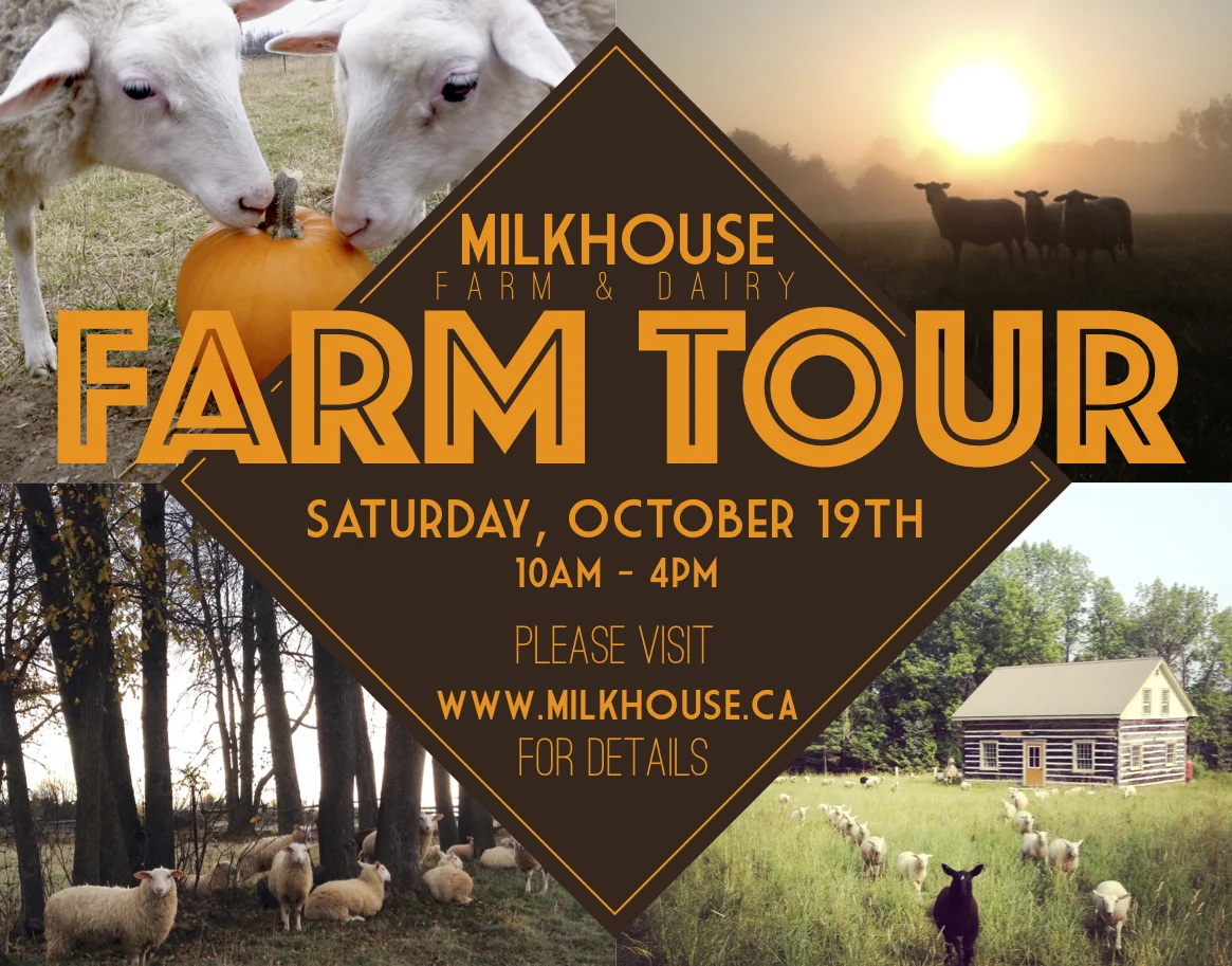 Open House Post Card 2019.jpg