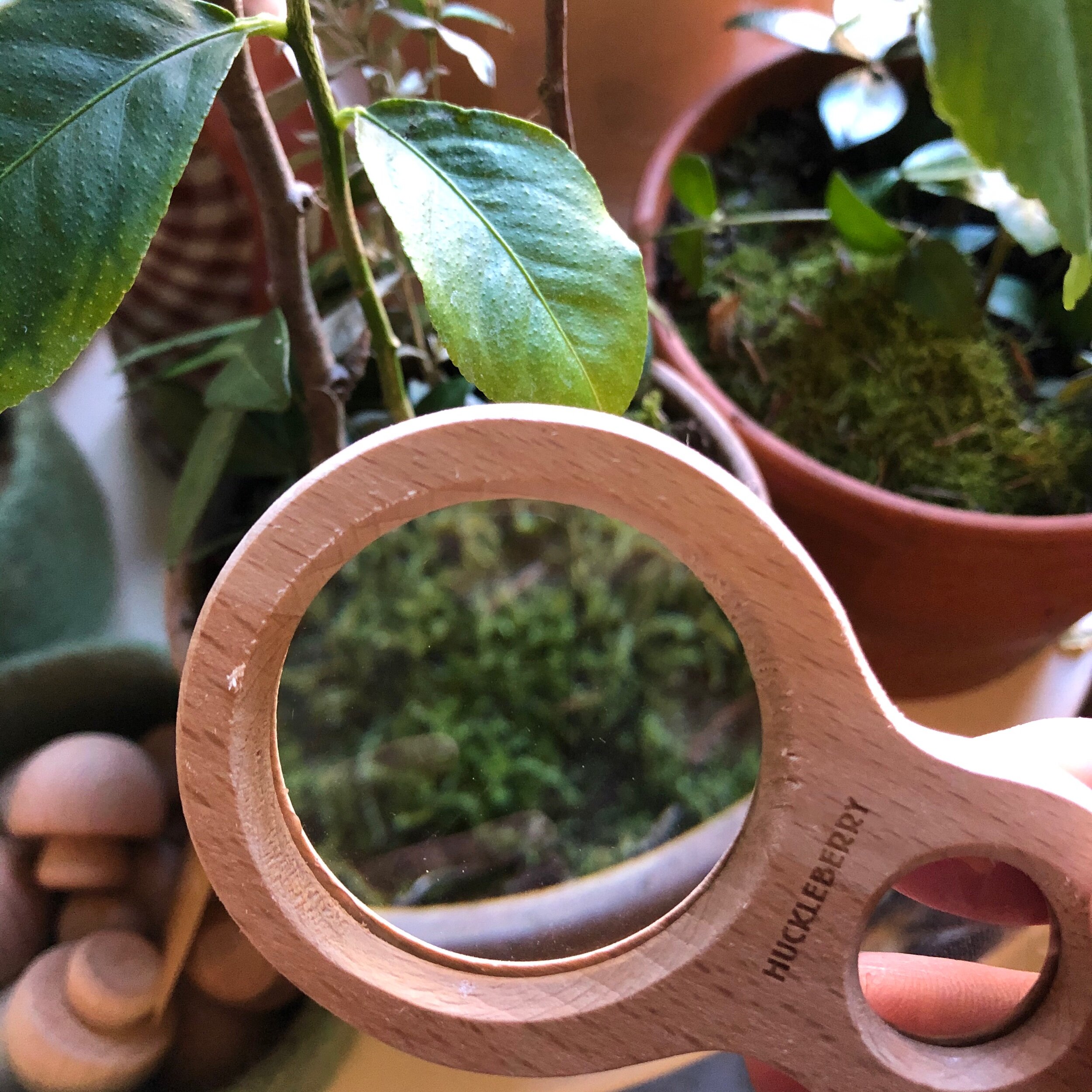 72299CB7-6A16-4EF2-933A-2E776E87A779