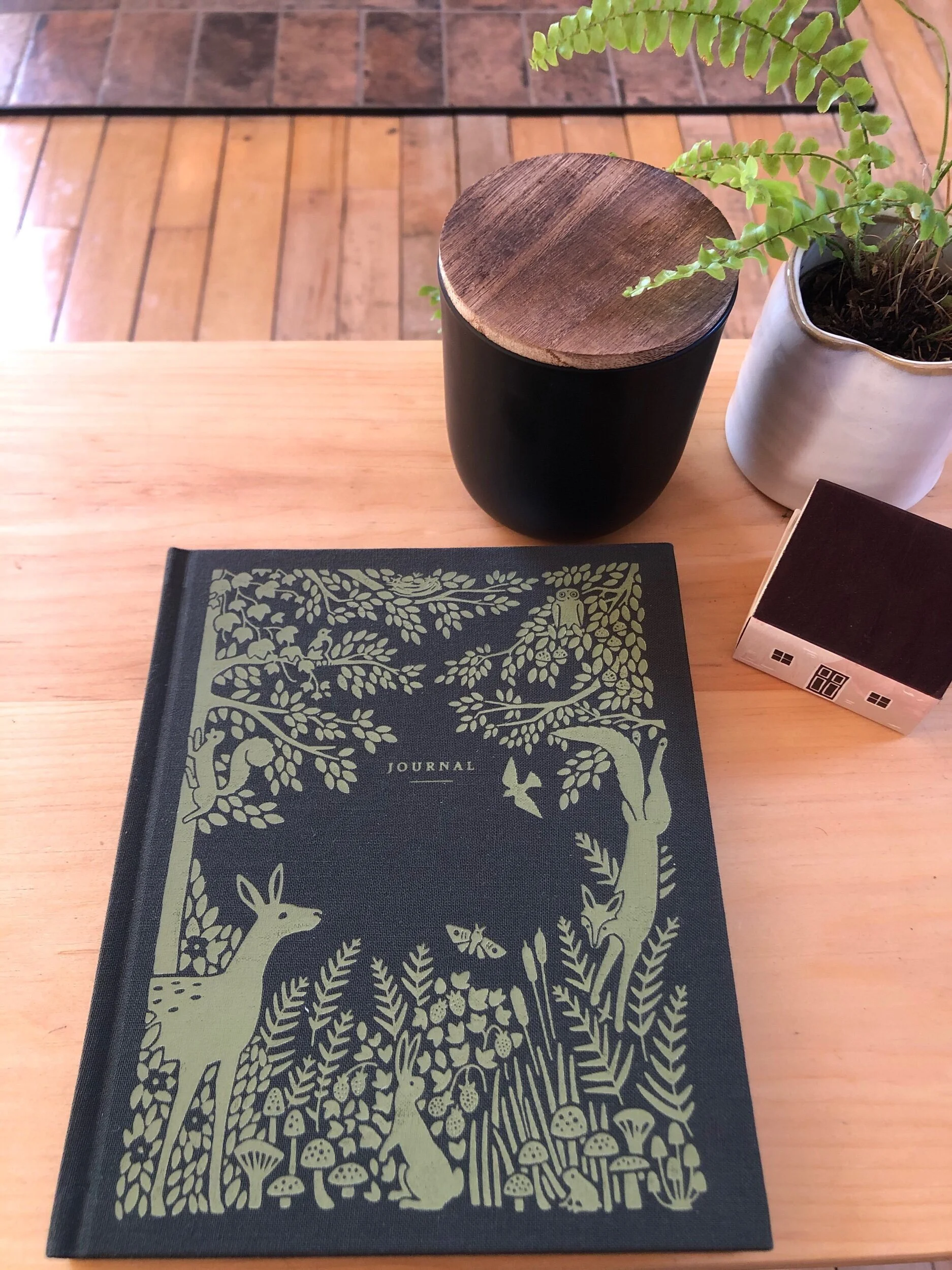 FDF45B3E-8843-447D-B718-C717DBF1DC1B