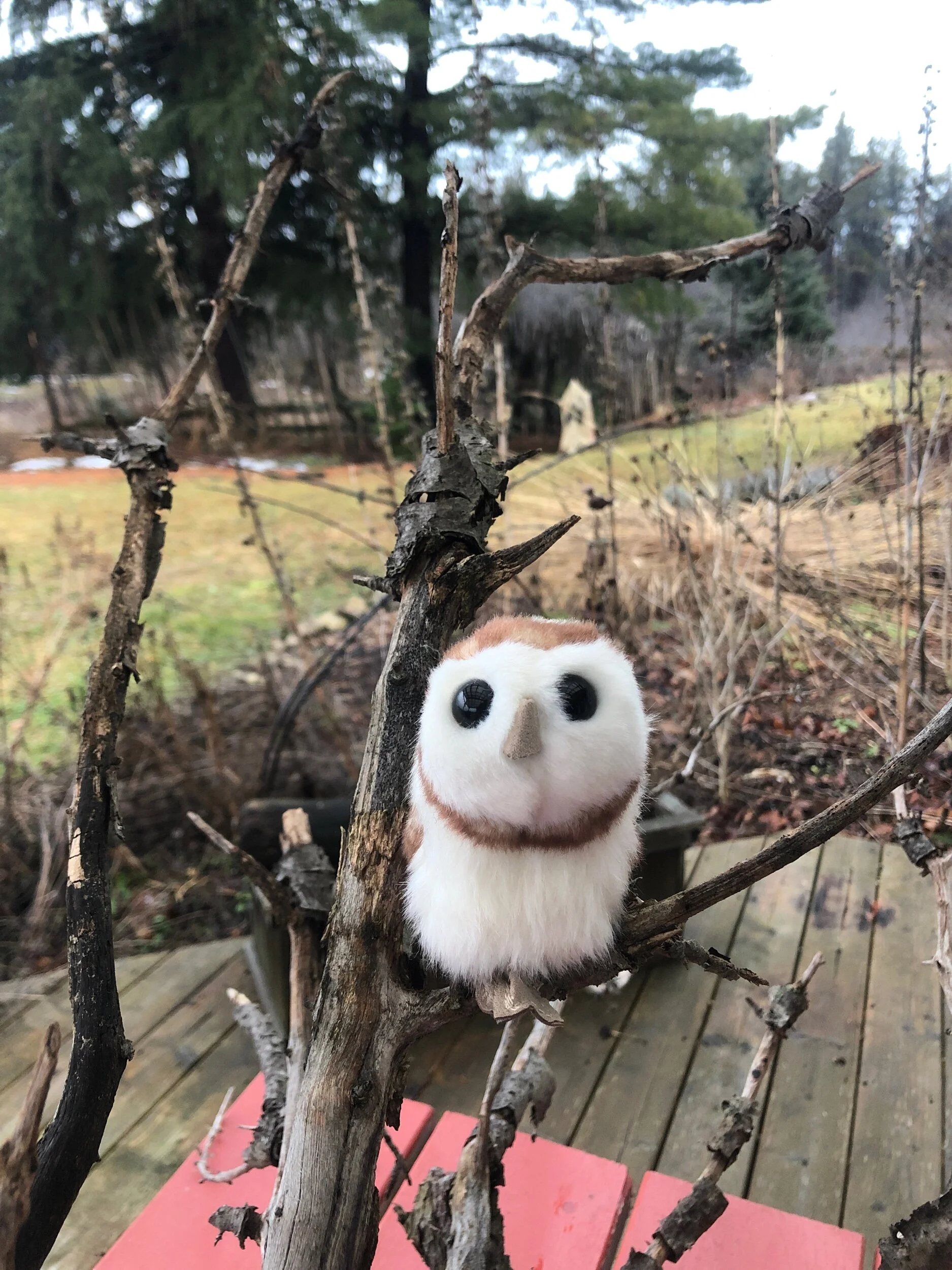 3A4E437F-9DE0-4C12-AC09-C5053A69BF2C