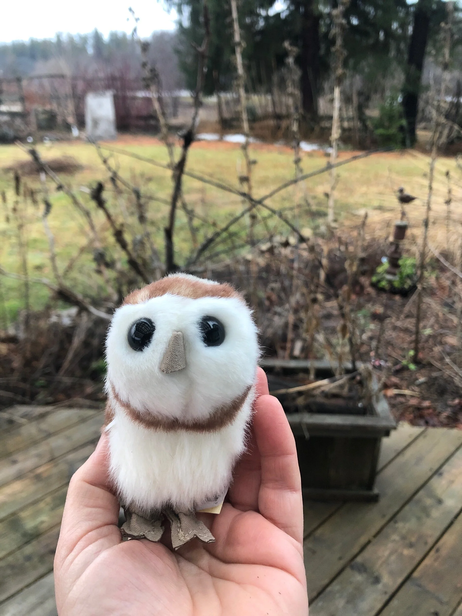 7D998D5A-52D5-4052-9C42-8C481FCE9C15