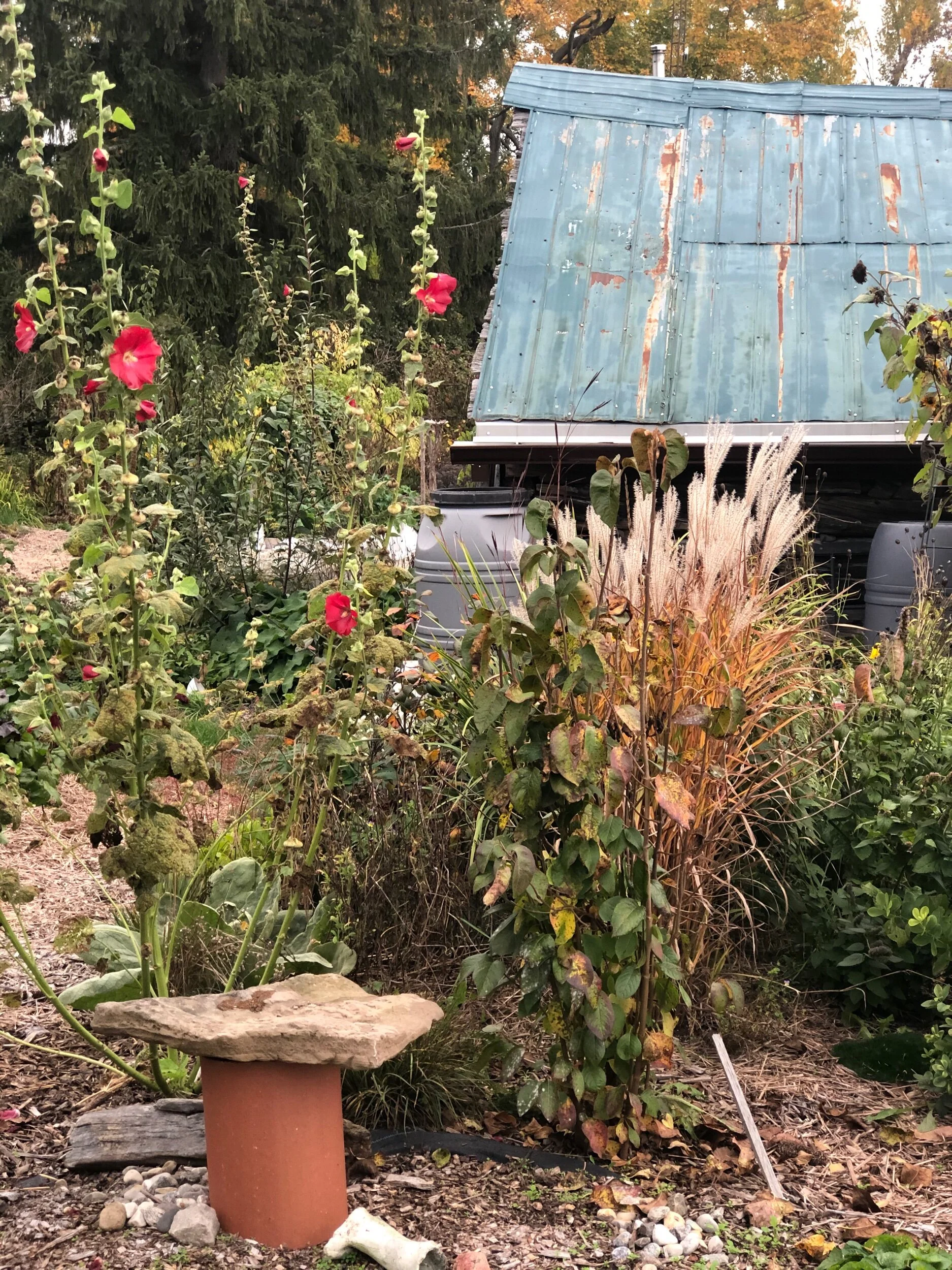 DA862EBE-2096-4B14-ACA9-795B33BA19E6