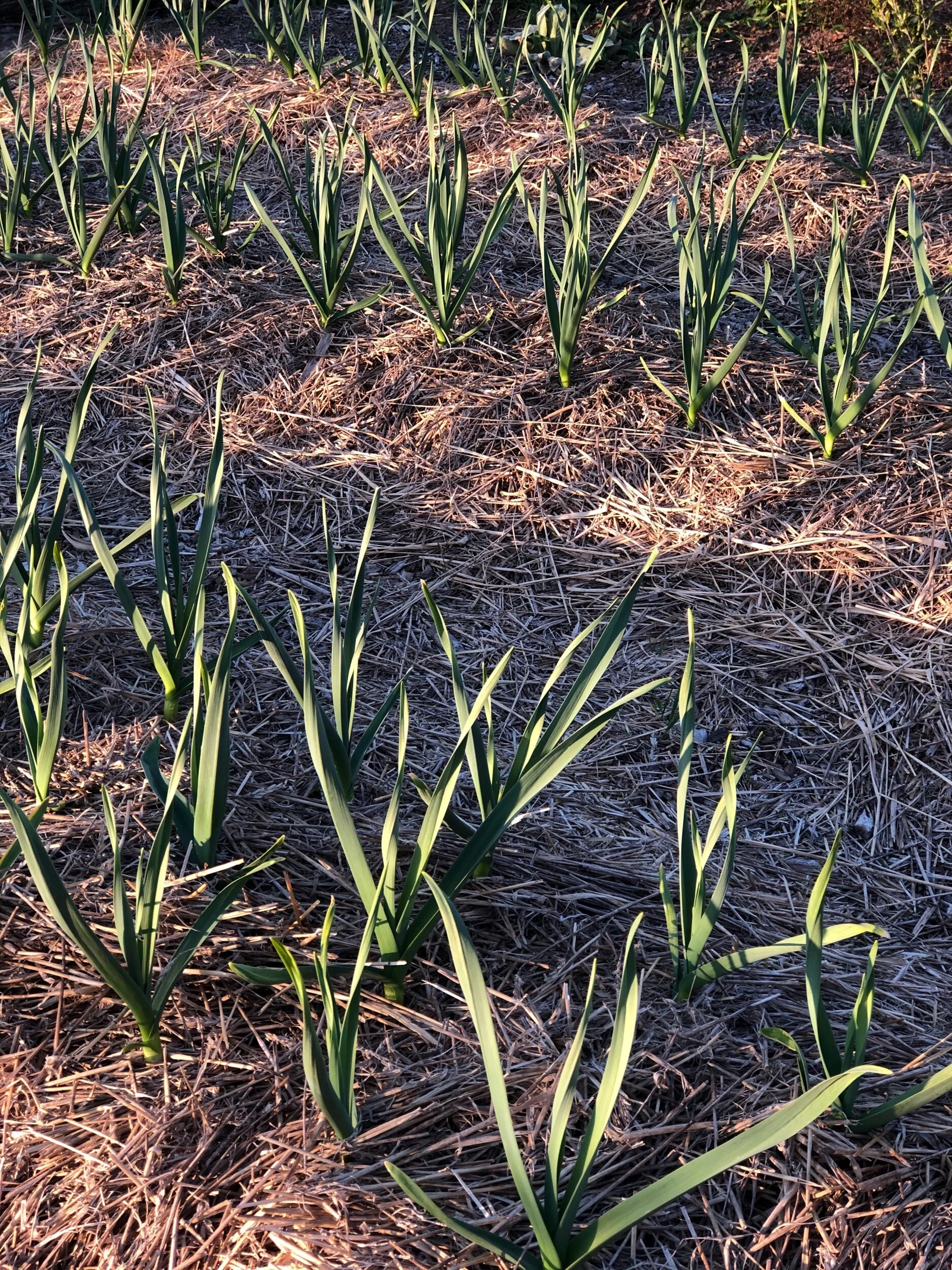 7FBA527A-40C9-4823-AB7B-4EFA7B271E95