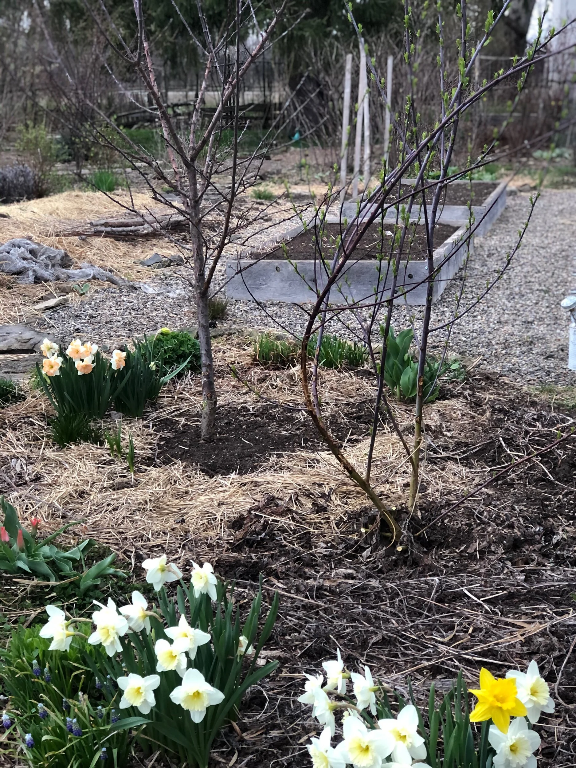 2A3A6357-EE2C-475F-929A-56B55129A960