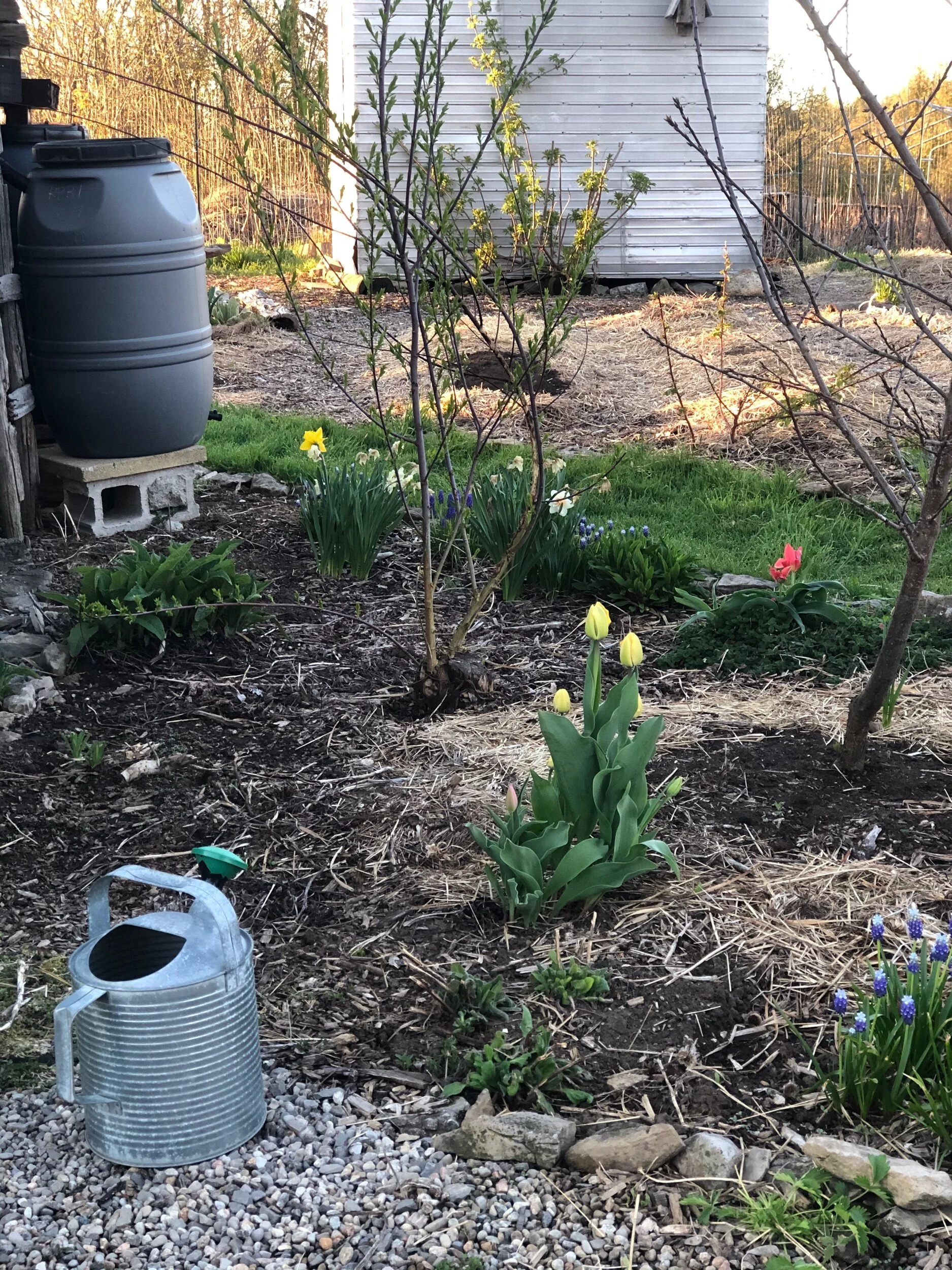 4BEEECB1-8DF9-40F4-814A-342F3118364B