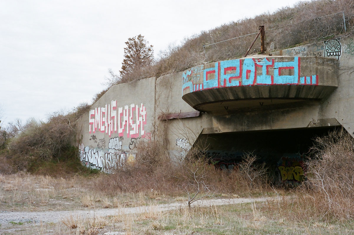 47350001_1.jpg
