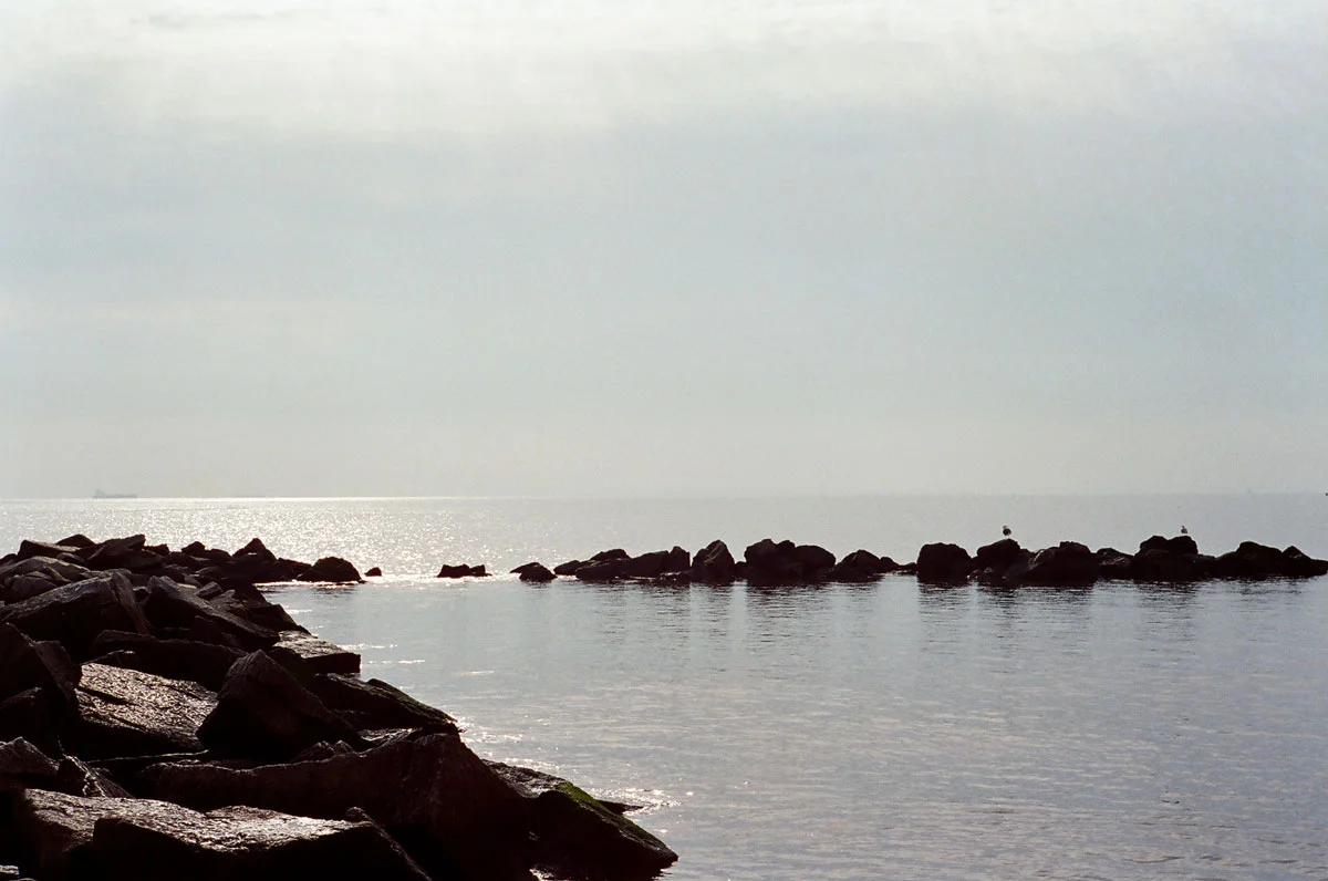 0028_1.jpg