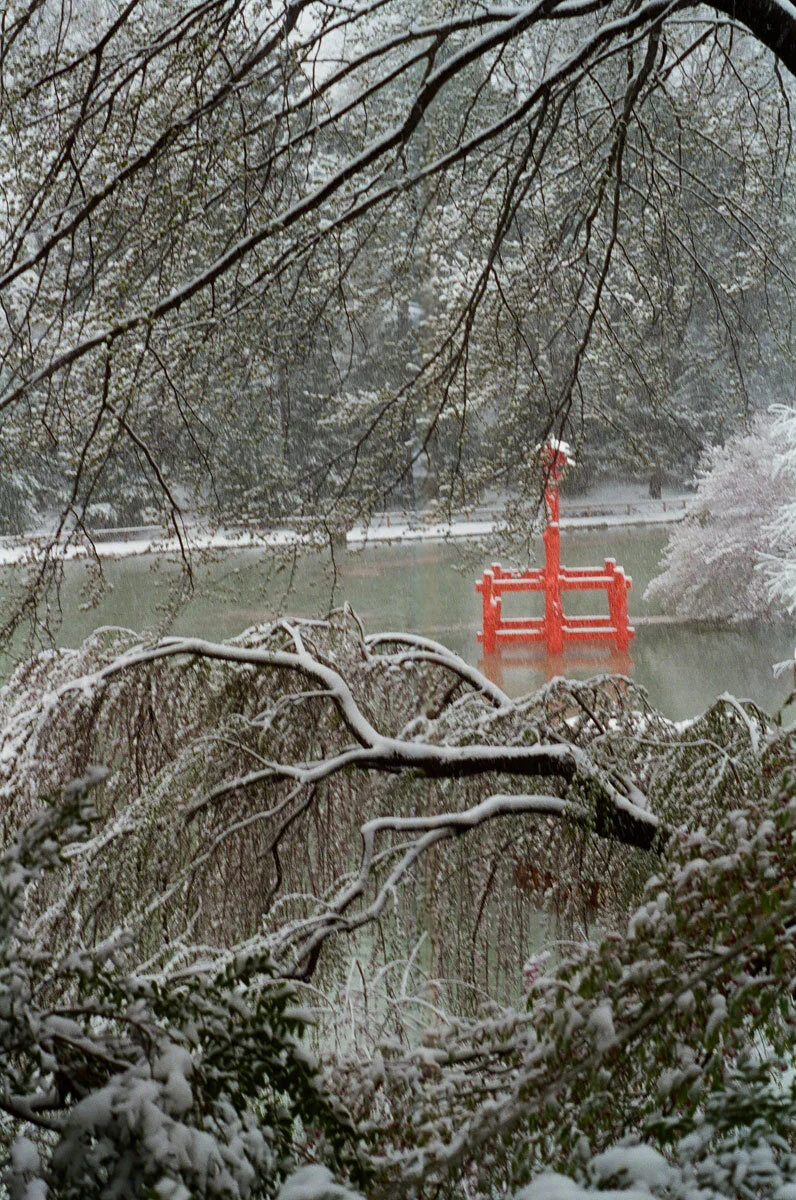 torii2000.jpg