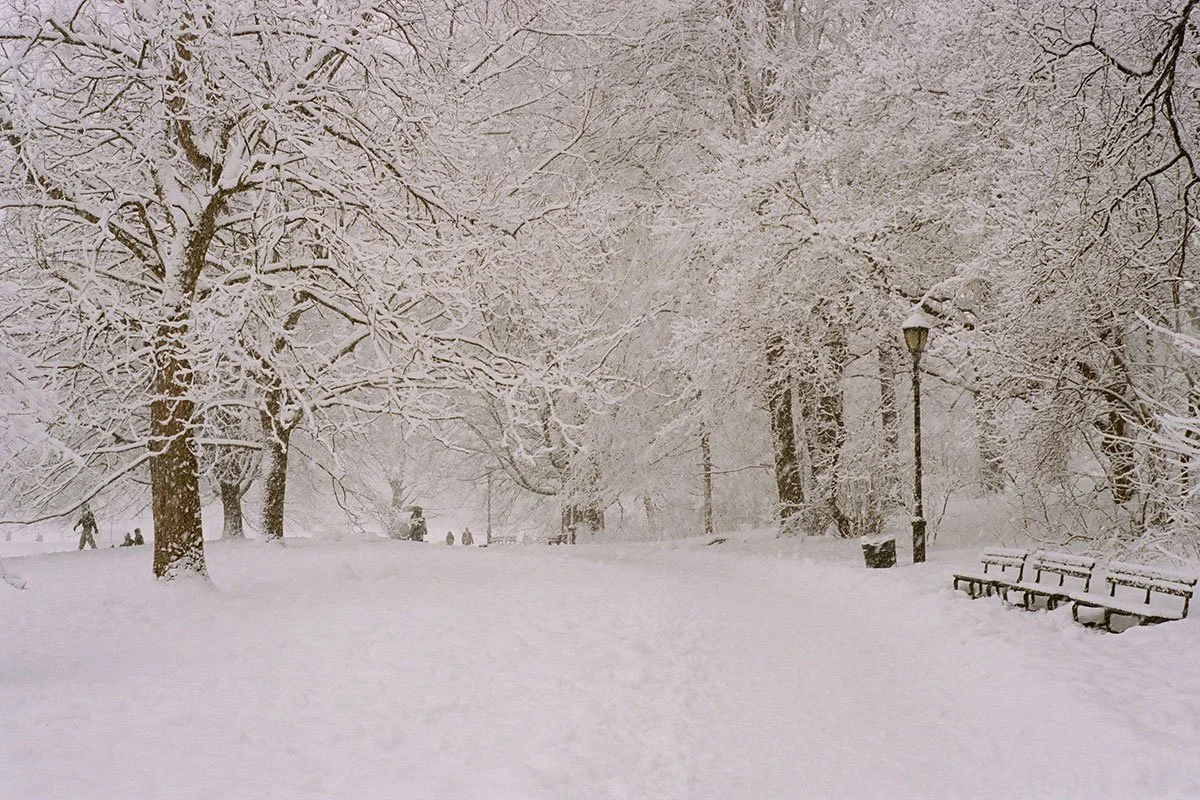Winter-Prospect-Park.jpg