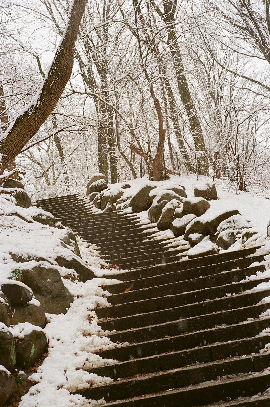 Stairs-in-Winter-2024.jpg