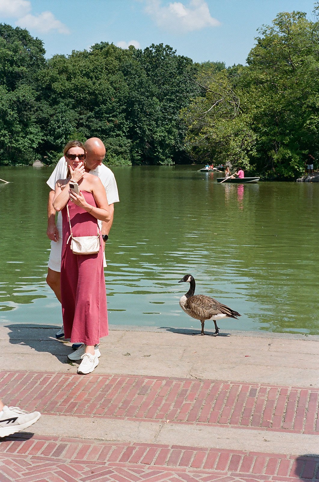 The-Goose-2024.jpg