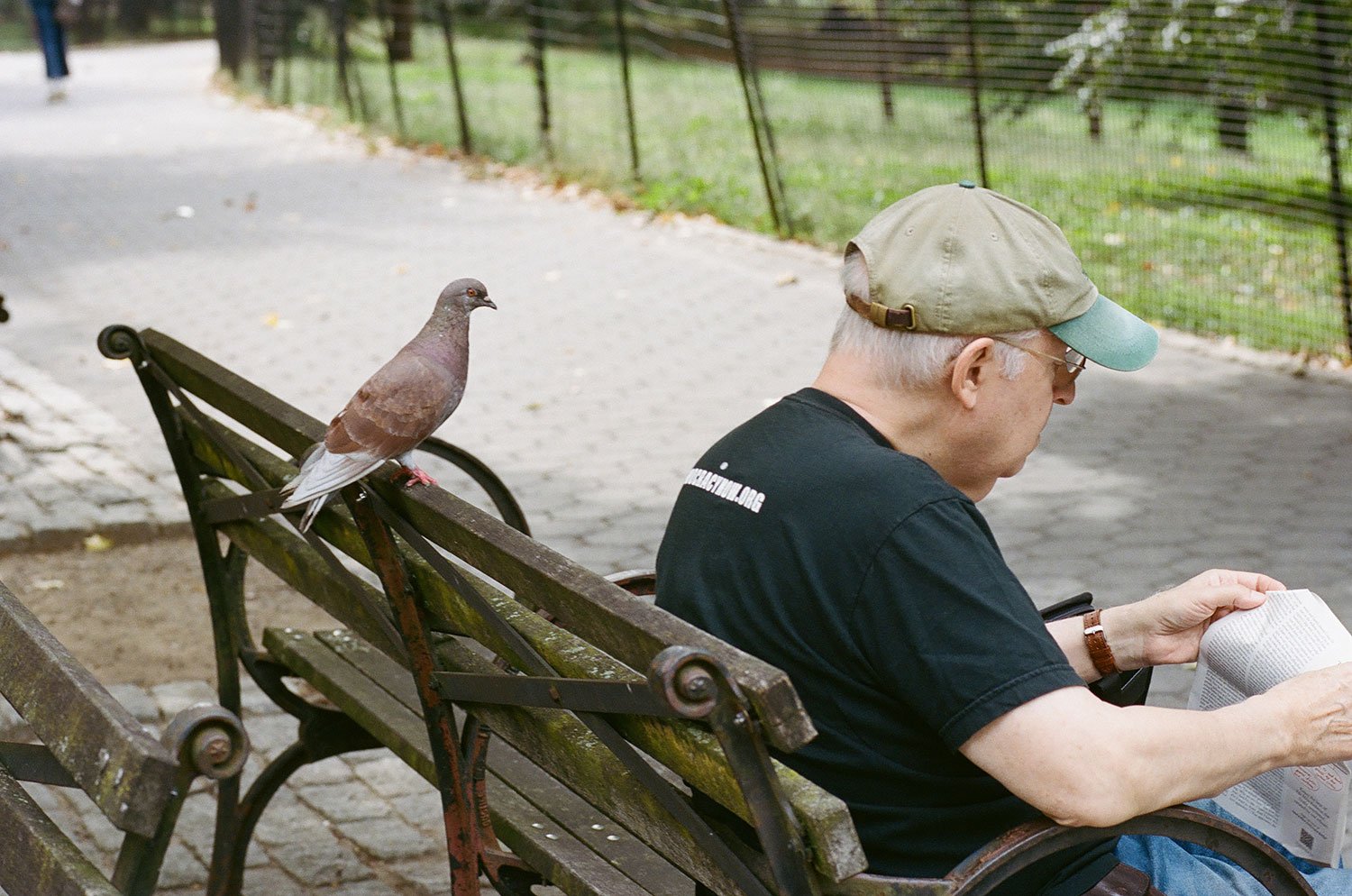 Sharing-a-Bench.jpg