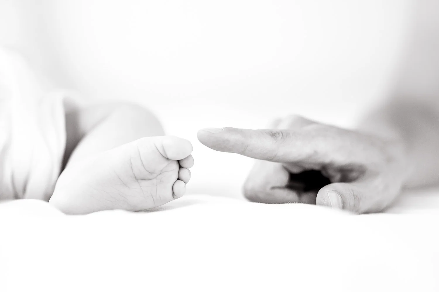 BabydWeb-67.jpg