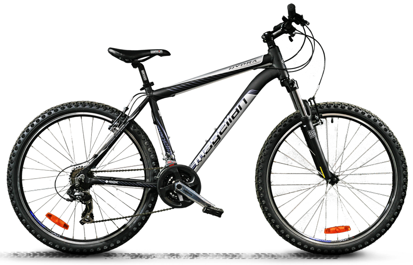 bmx2.png