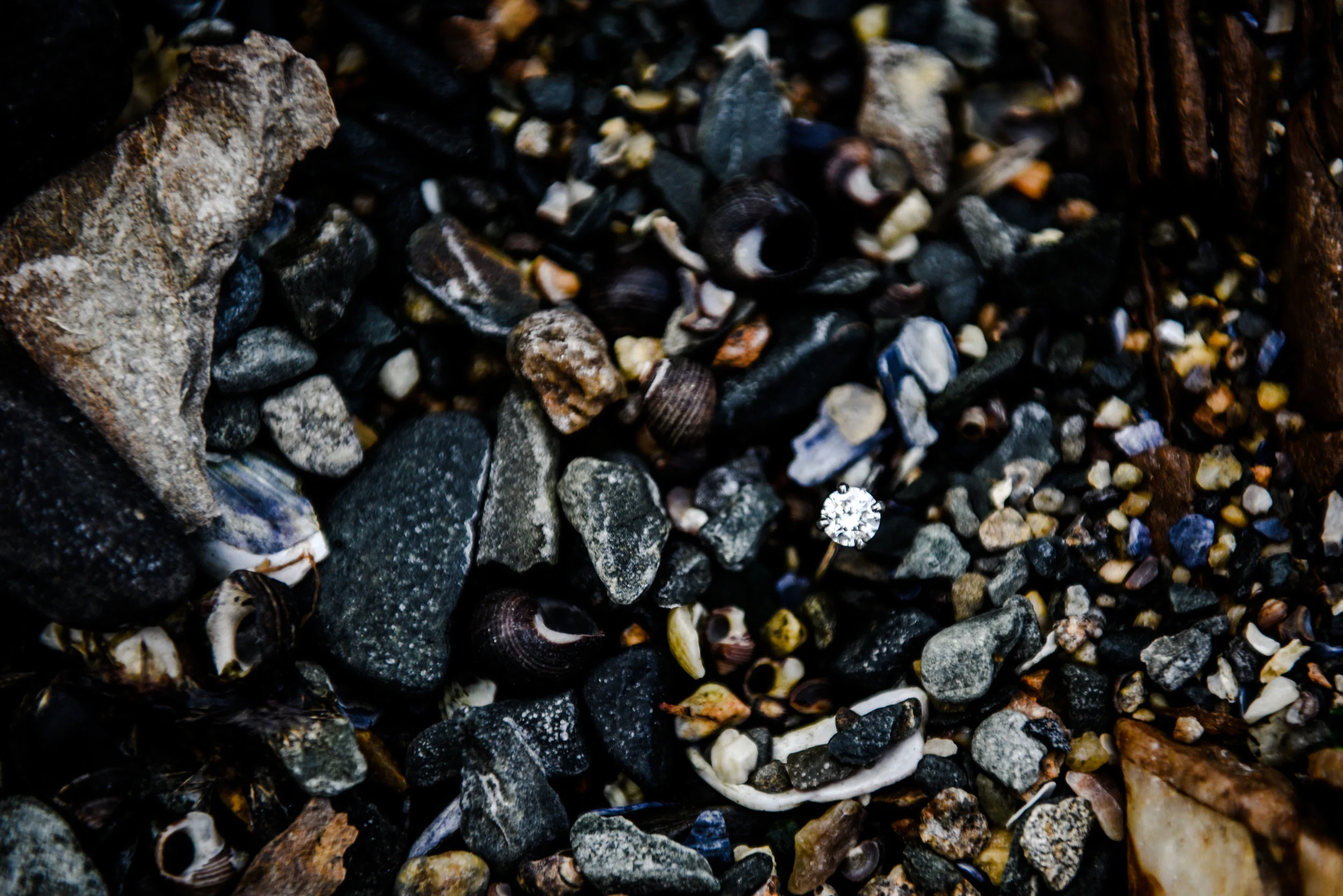 DSC_7393small.jpg
