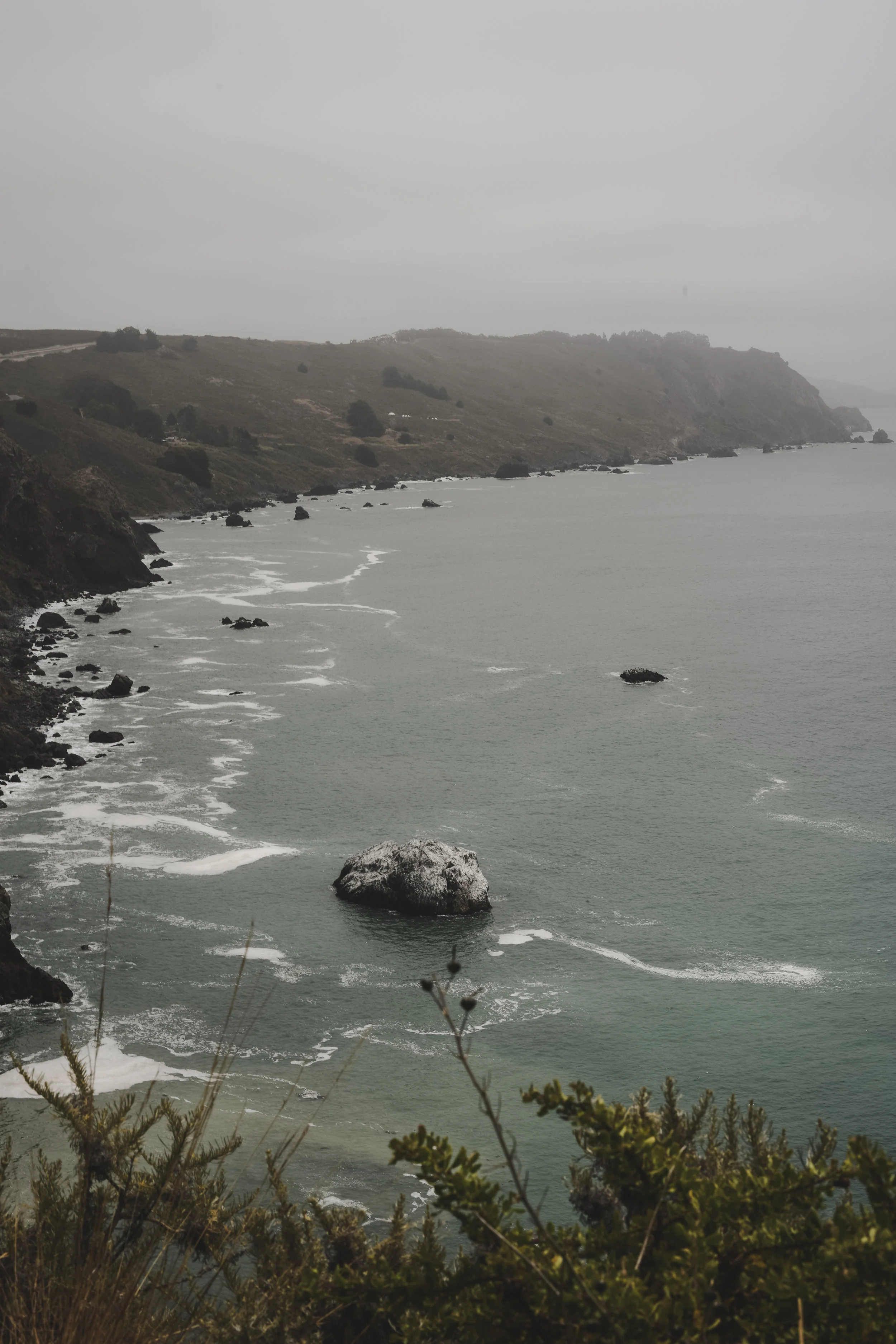 DSC_0916.jpg