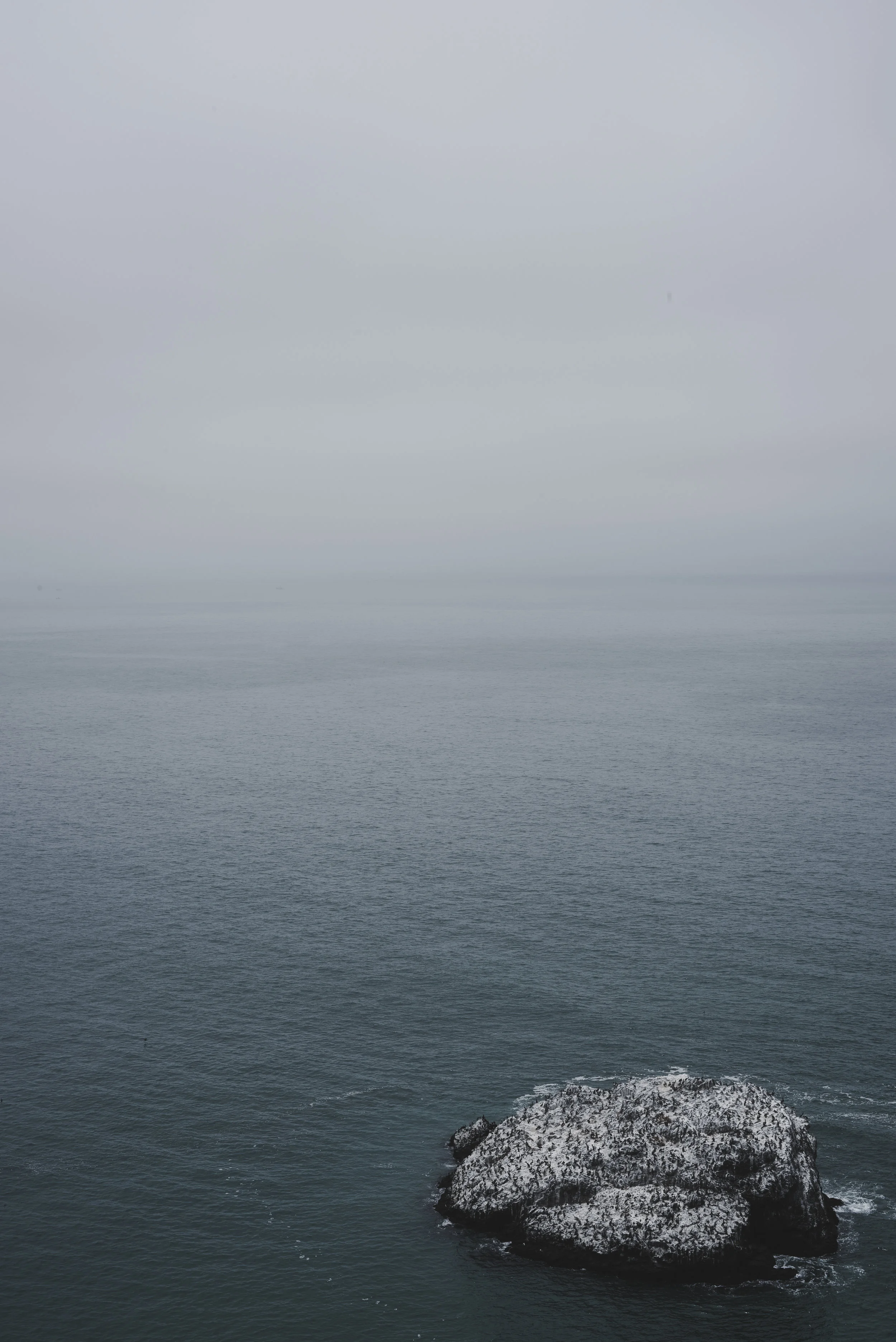 DSC_0925.jpg