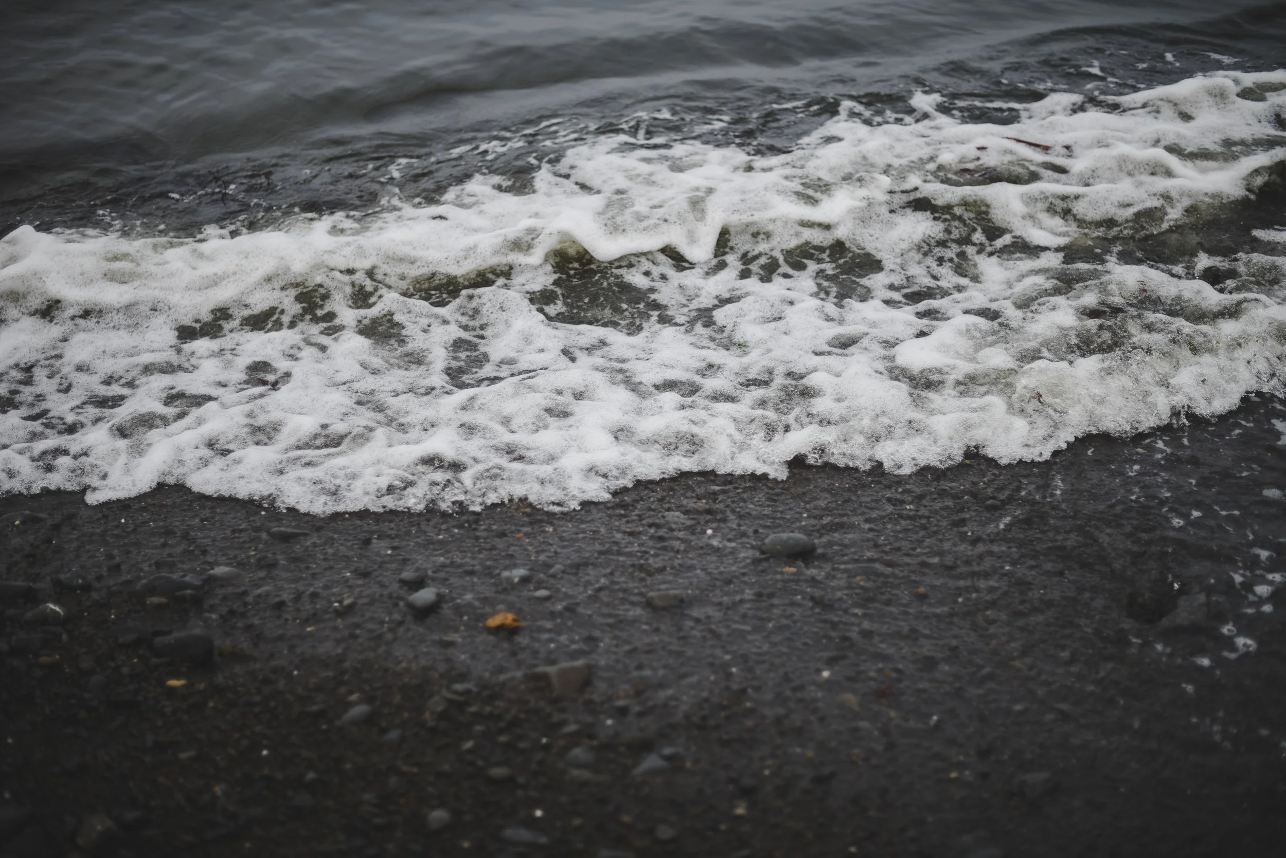 DSC_1050.jpg