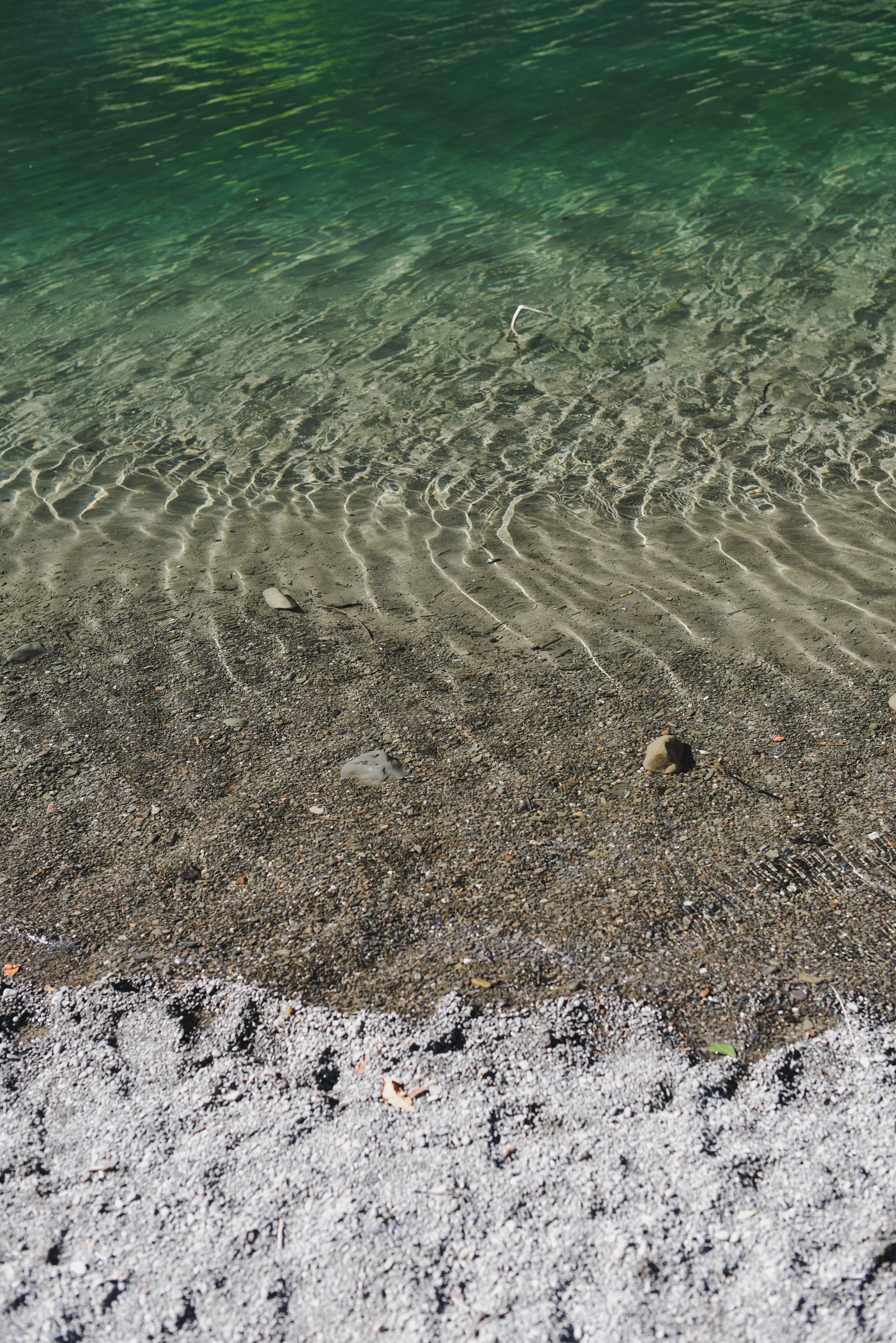 DSC_1102.jpg