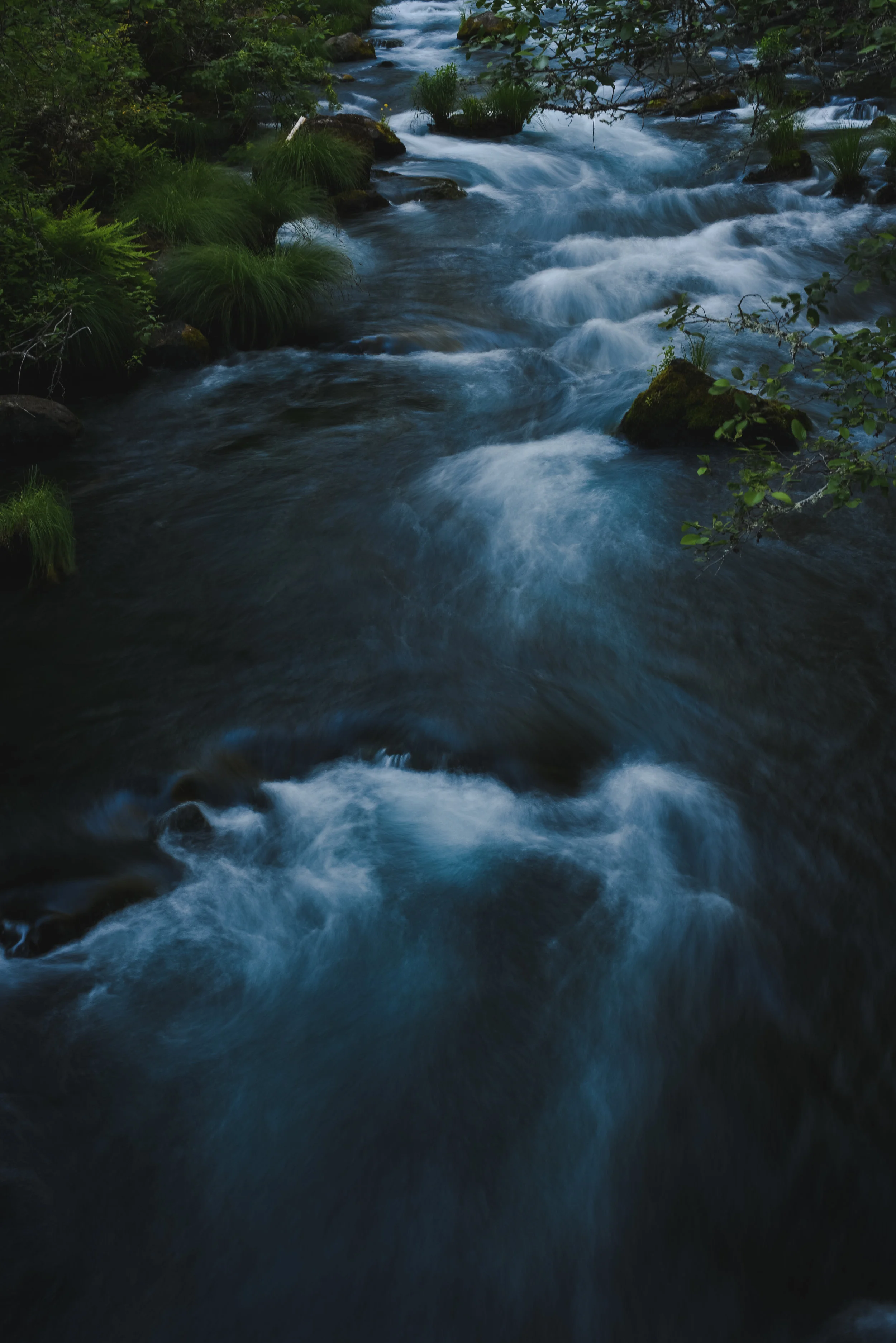 DSC_1385.jpg