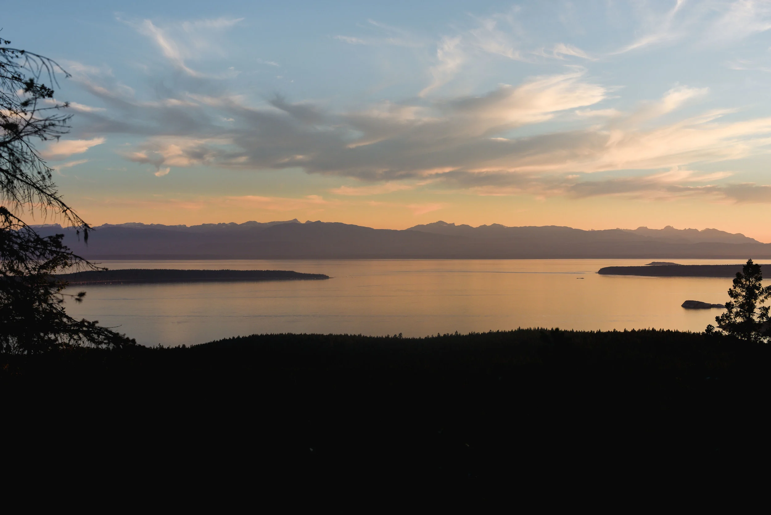 DSC_3560small.jpg