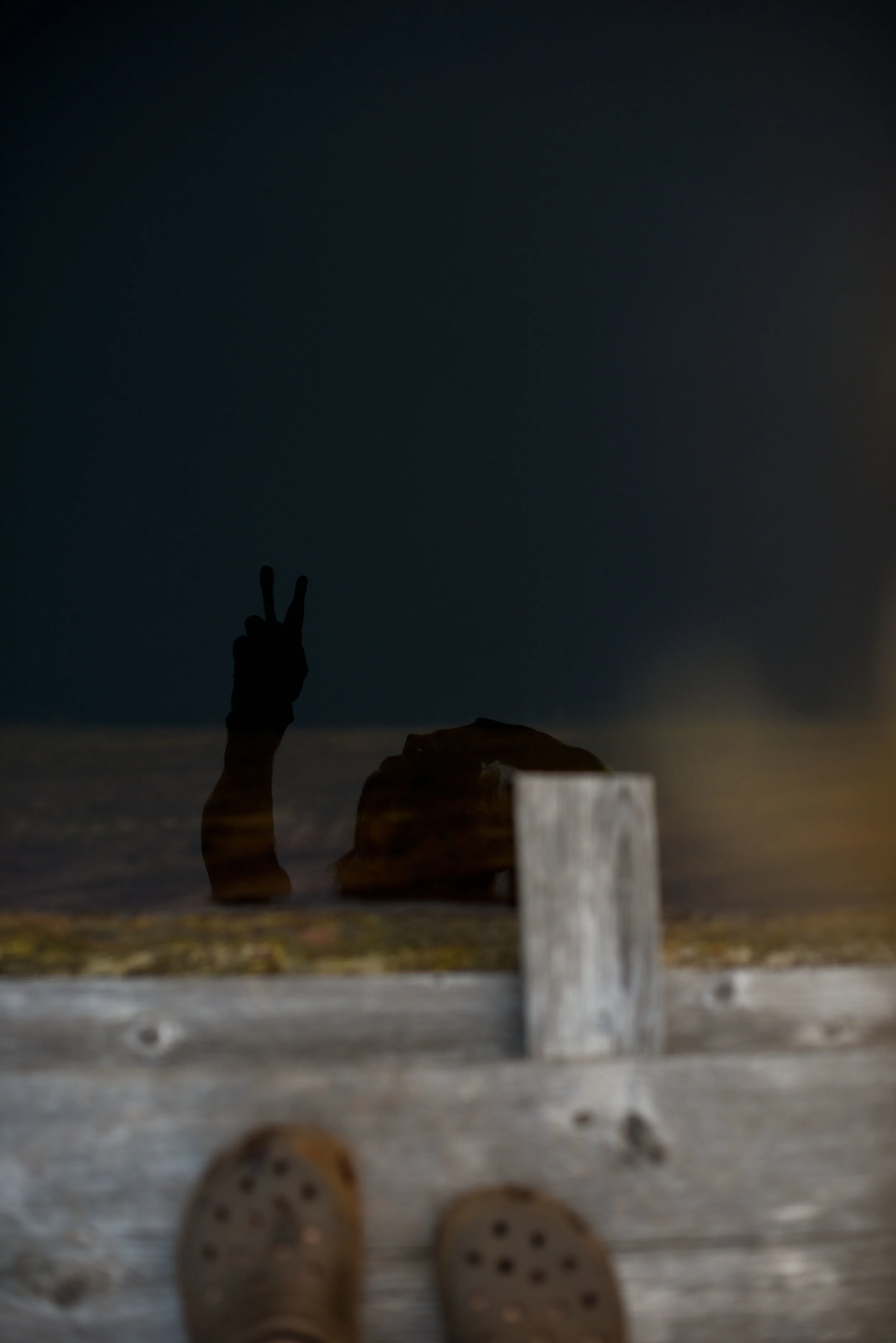 DSC_3983small.jpg