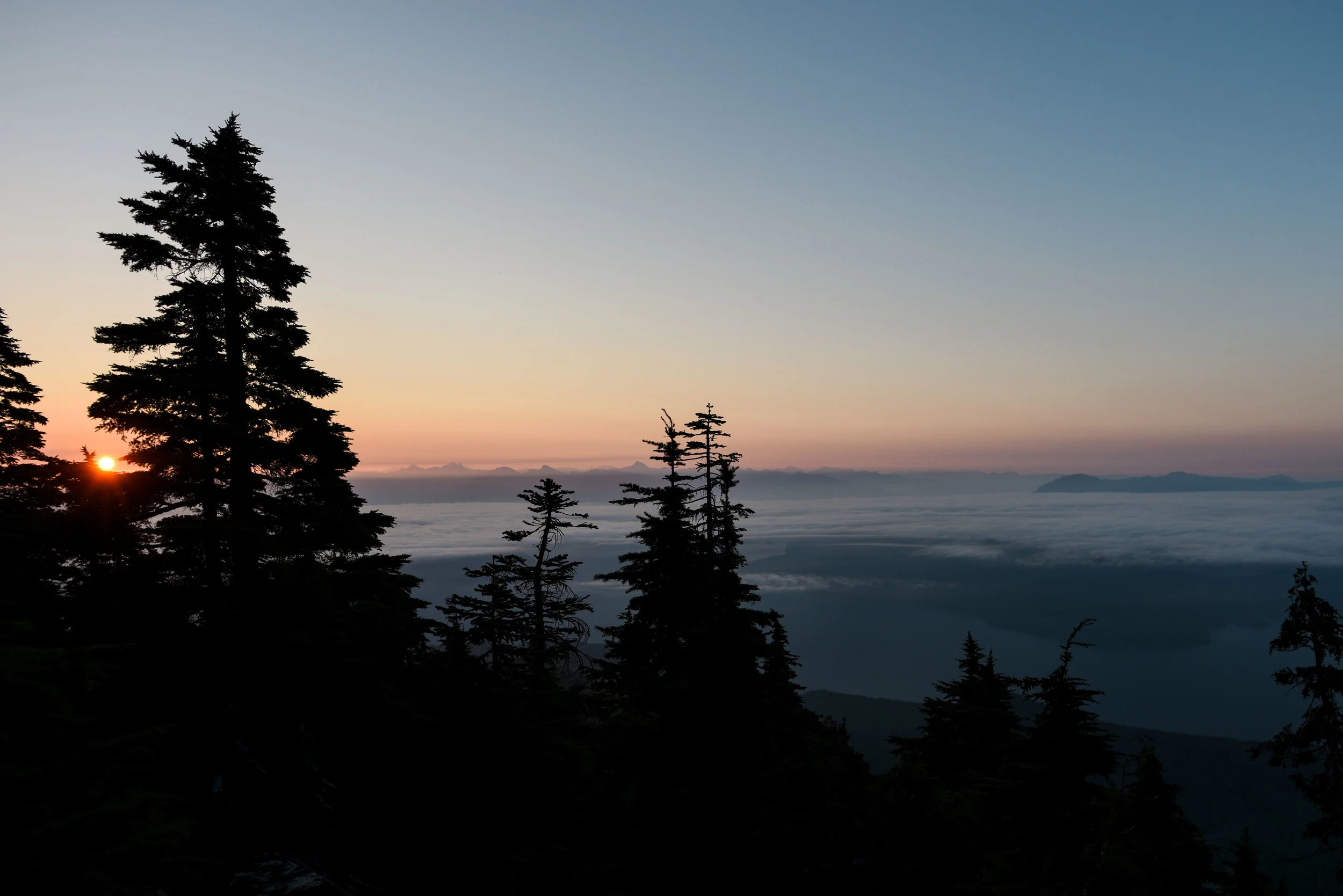 DSC_4111small.jpg
