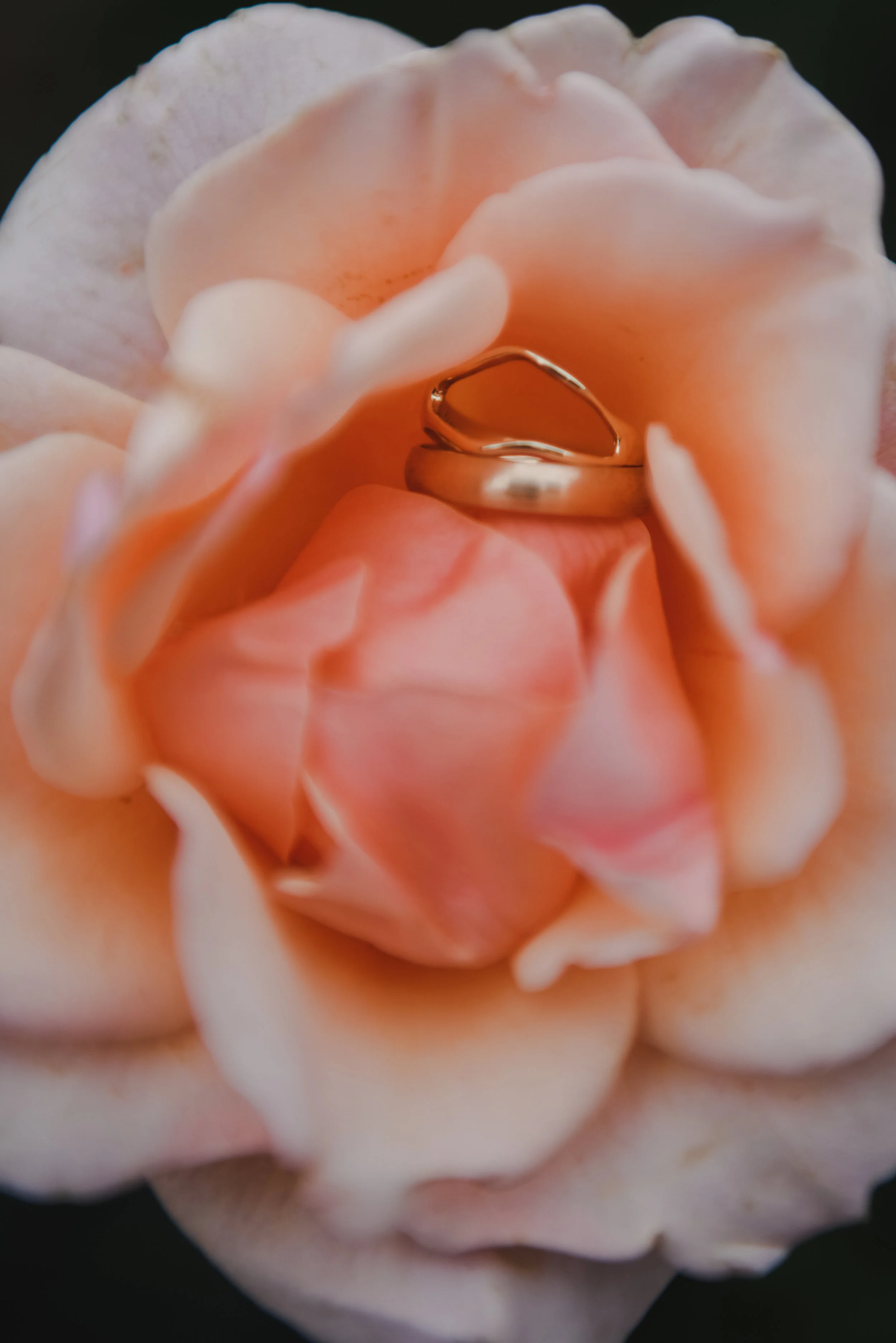 DSC_1034.jpg