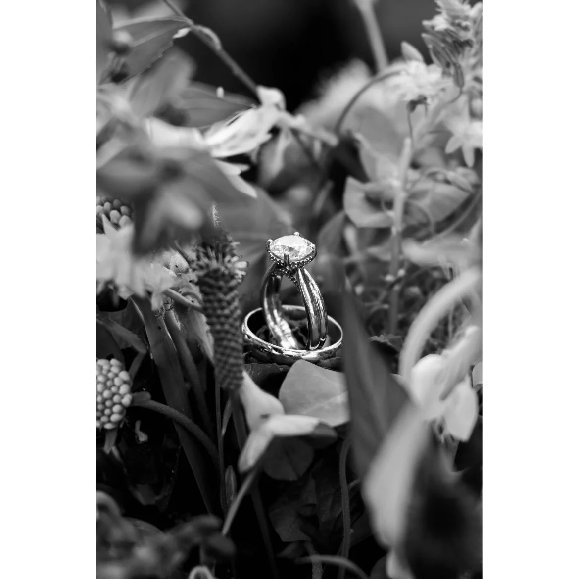 Backyard elopements may not usually have all of the bells and whistles found in a big wedding. On this day, Lillie and Ian had only eleven people in attendance at their ceremony, and they all celebrated afterwards with a homemade lobster bake in comf