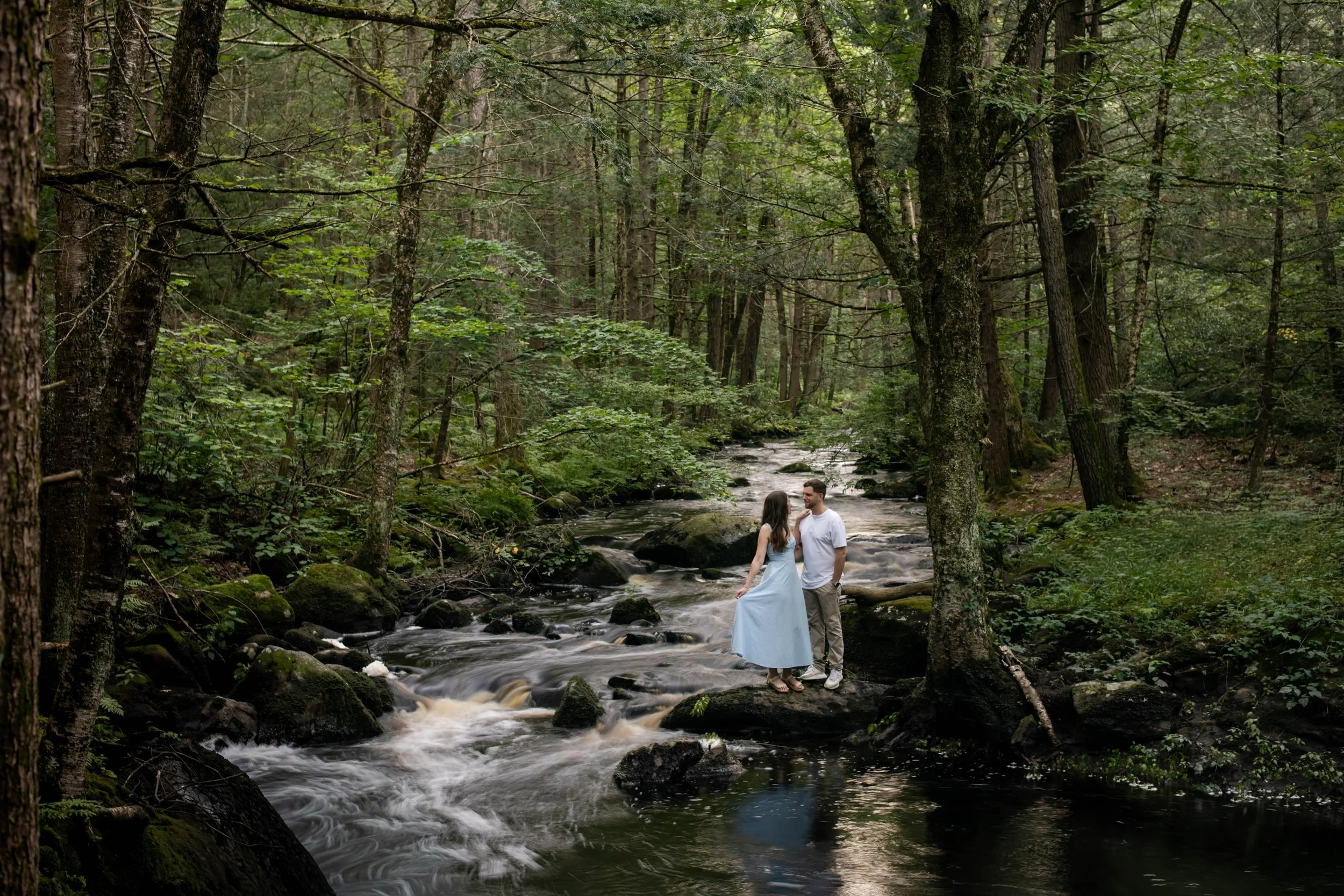 To capture this shot, Cait and Chris and I hiked into the woods of Holden, MA last week at sunset. Along the way, we had a close brush with both poison ivy (which we carefully avoided) AND a mama black bear and cubs (they avoided us!) Not everyone is