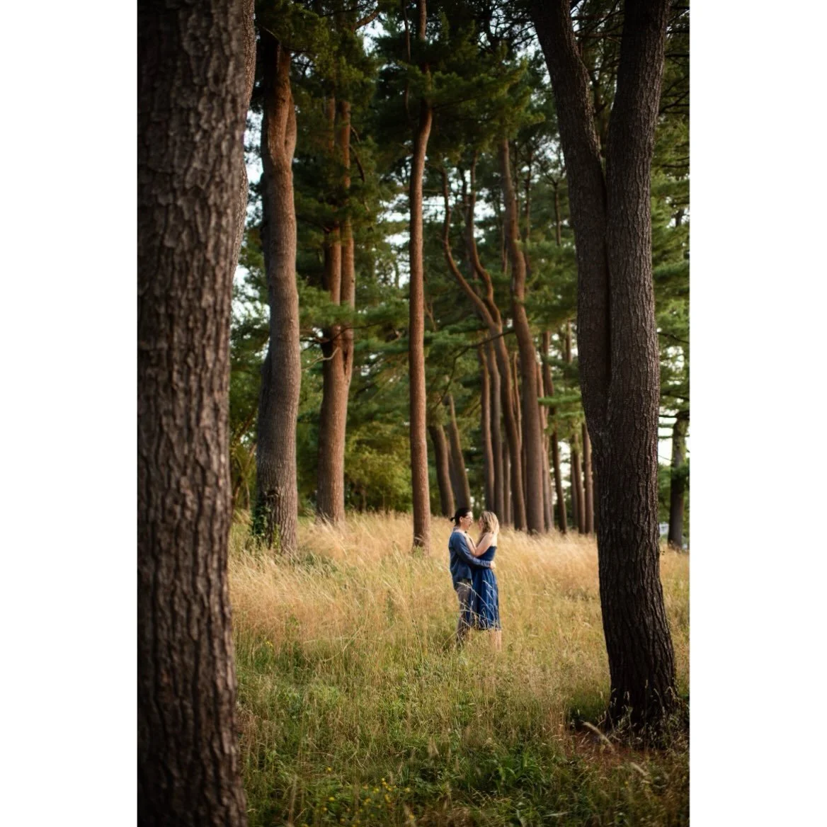 Over the years, I&rsquo;ve driven past this pine grove in the Harvard Arnold Arboretum many times and daydreamed about capturing portraits in the grassy understory. Well, some dreams do come true 🥺 James proposed to Kali (pronounced like &ldquo;cali