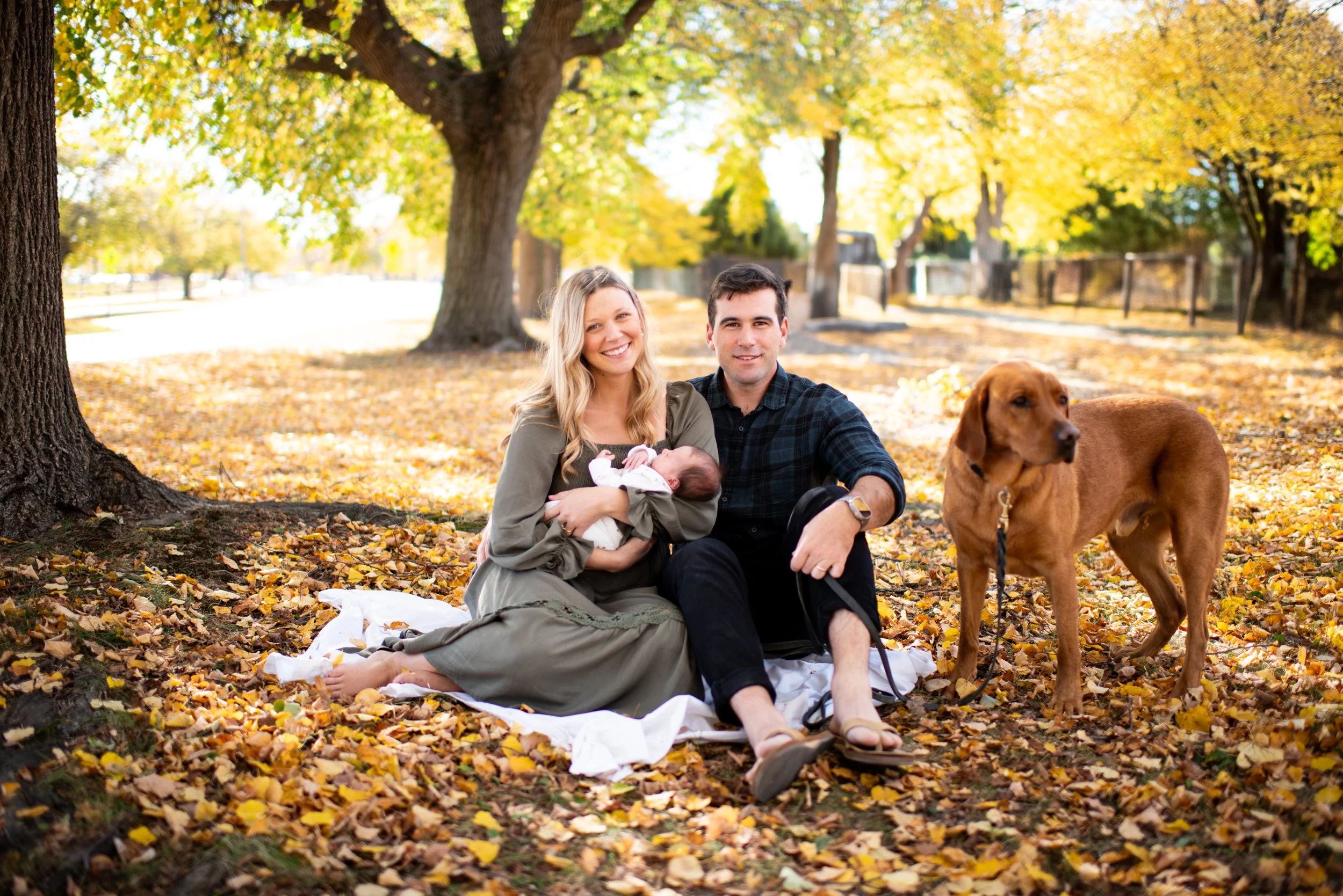 Welcome, Fia // Boston Newborn Session