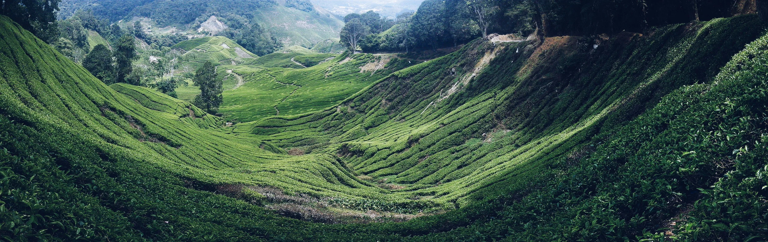 2015-03-26 03.13.31 1.jpg