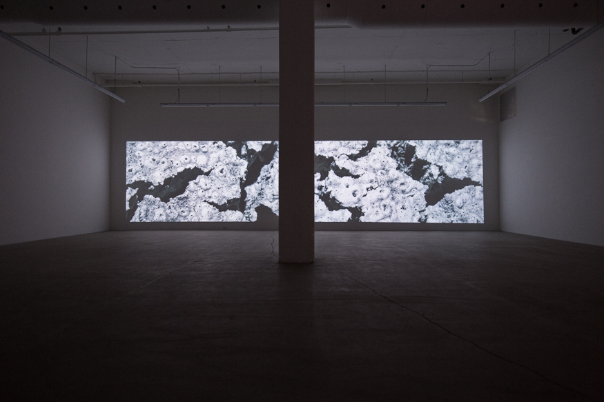 LA VIE ABSTRAITE I : LE TEMPS TRANSFORMÉ 2015, 2 PROJECTIONS VIDEOS SYNCHRONISÉES 4K, SON , 40 min