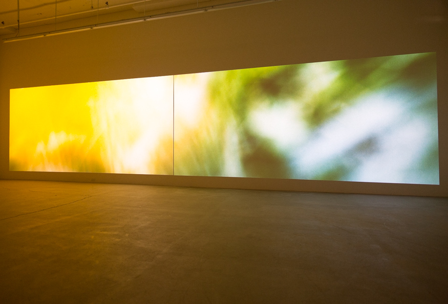 LA VIE ABSTRAITE I : LE TEMPS TRANSFORMÉ 2015, 2 PROJECTIONS VIDEOS SYNCHRONISÉES 4K, SON , 40 min