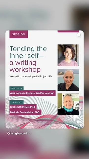 Nikoo conference image.jpeg