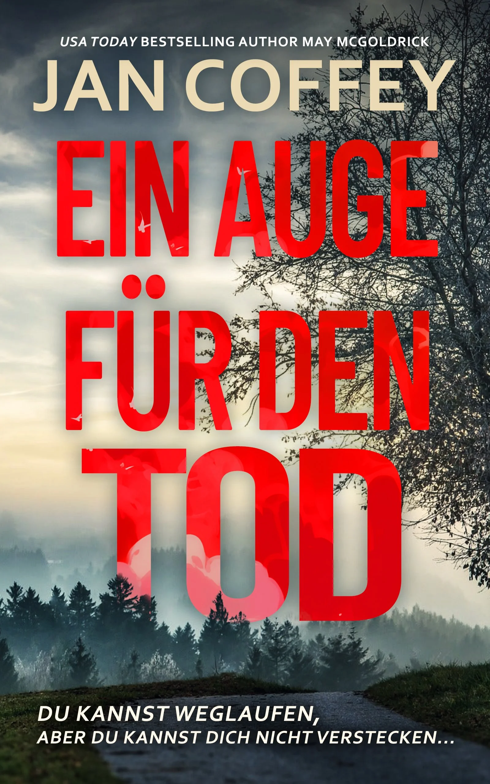 Road Kill German ebook cover.jpg