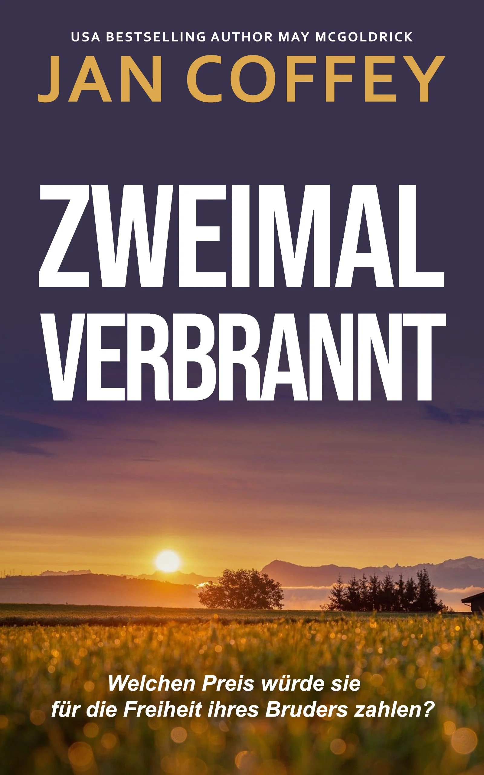 Twice Burned German ebook cover .jpg