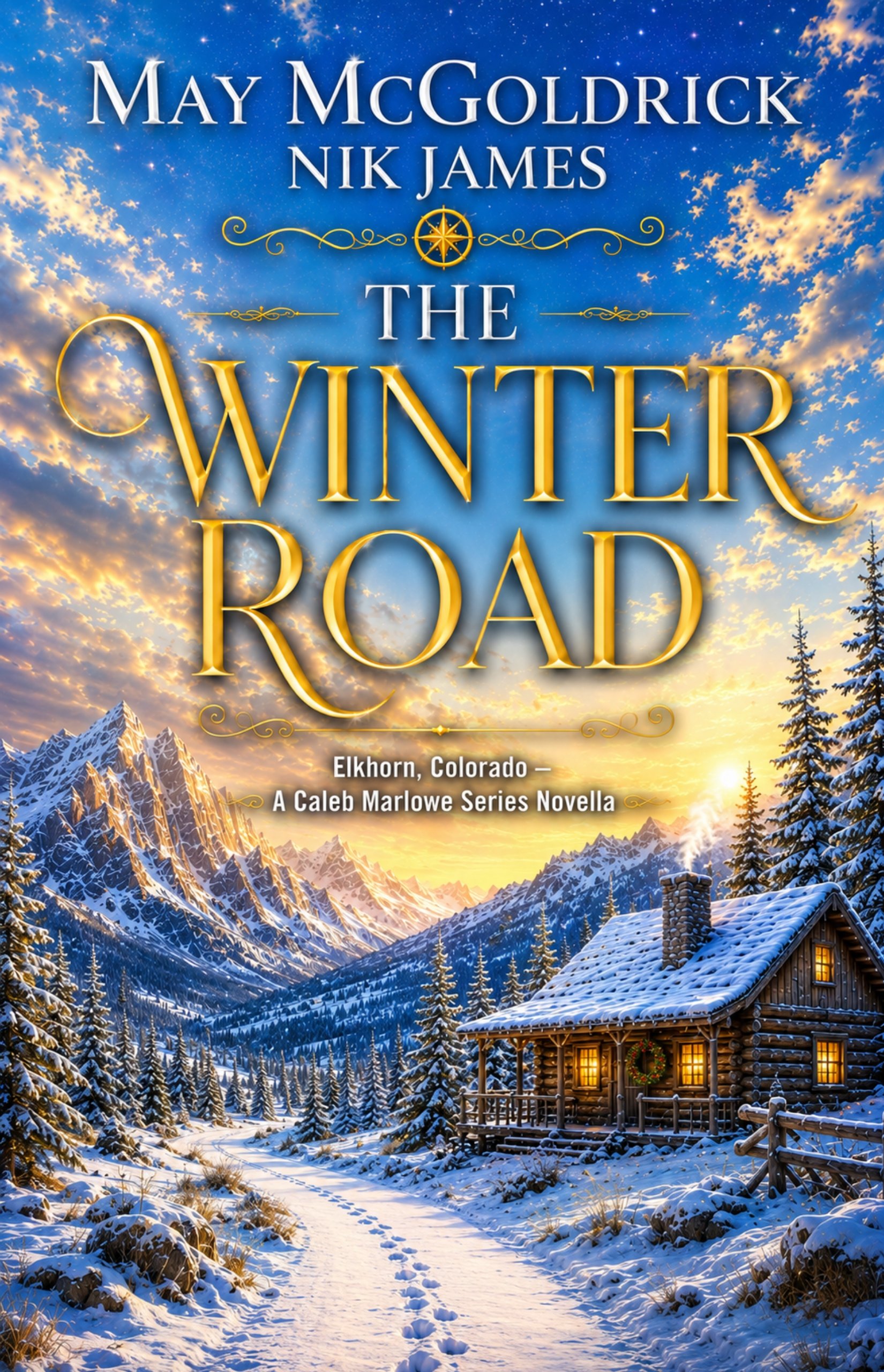 The Winter Road ebook cover Revised 1650x2560.jpg