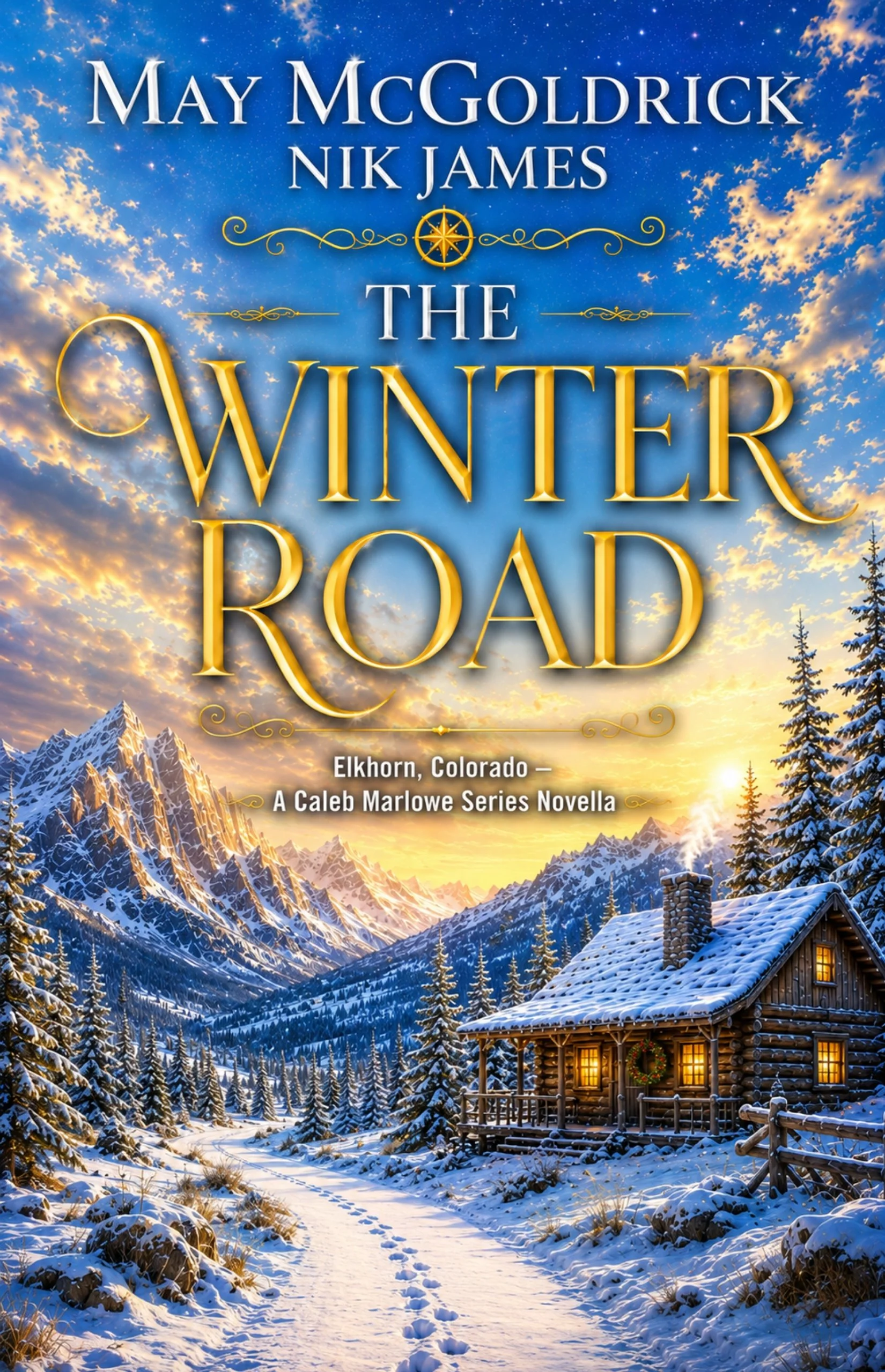 The Winter Road ebook cover Revised 1650x2560.jpg