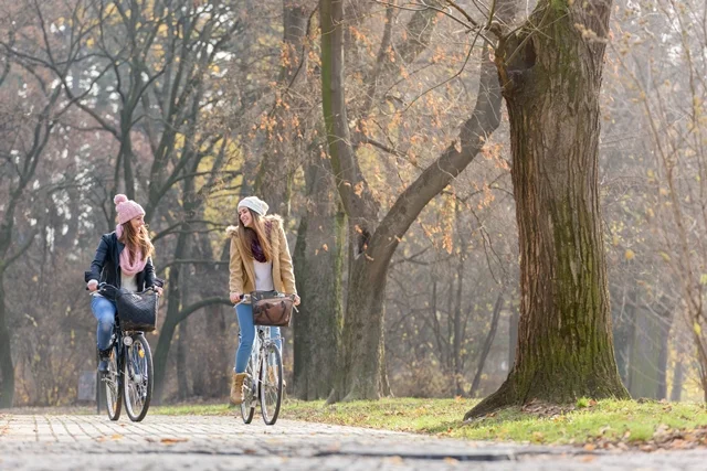 biking charles river website.jpg