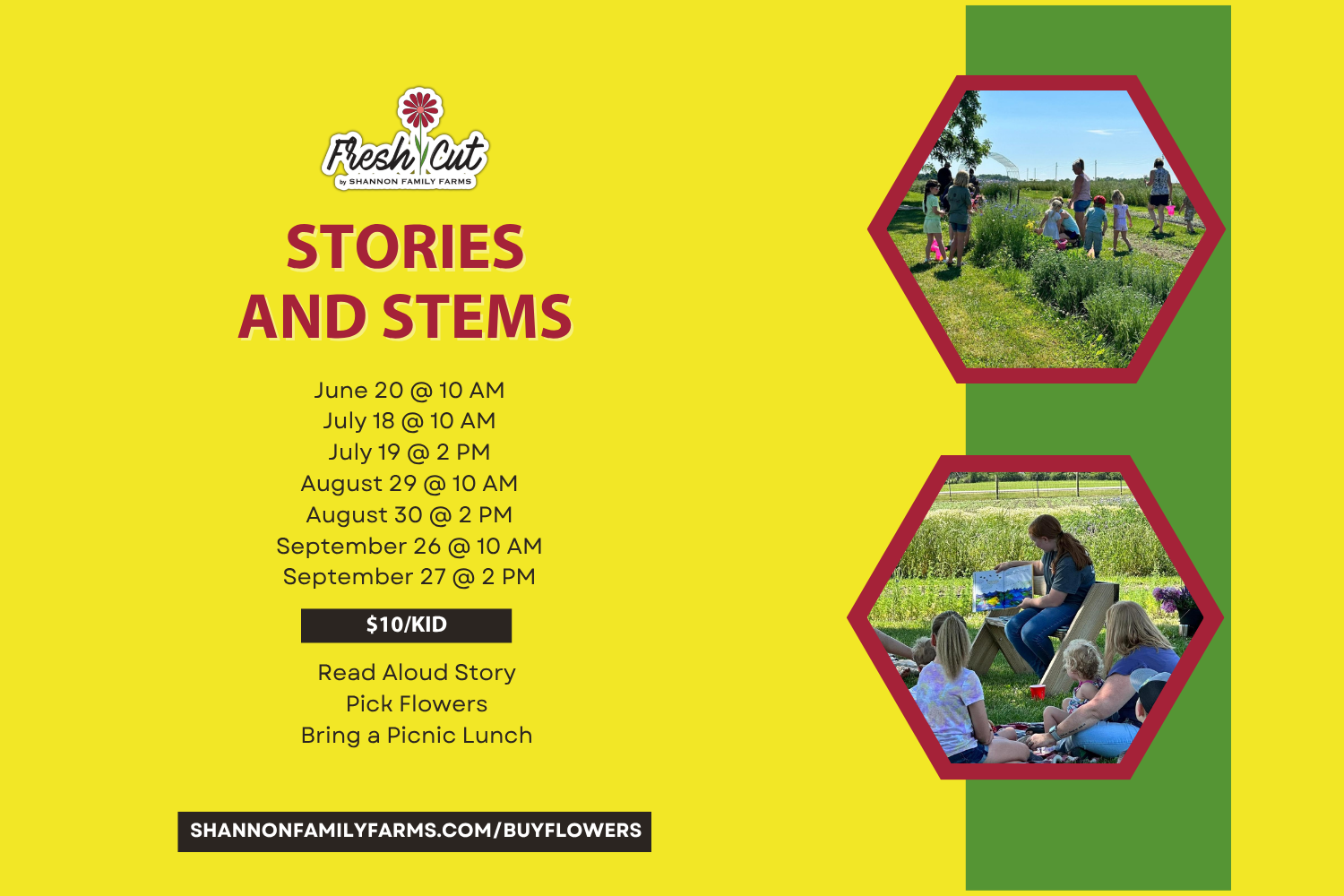 Stories and Stems