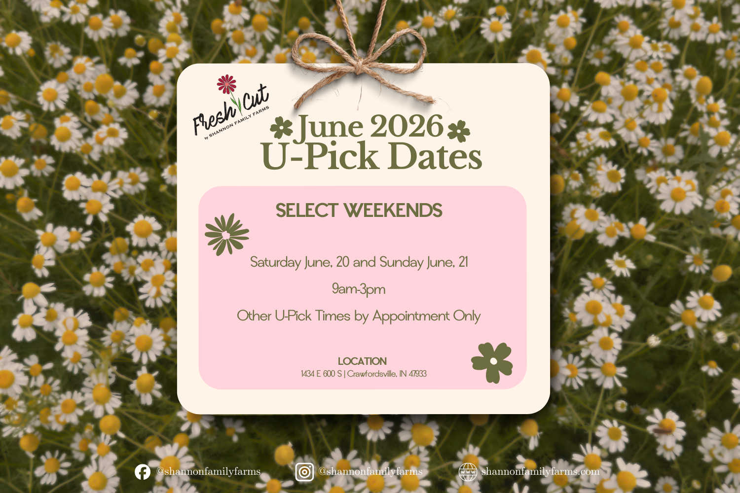 Flower Field Open for U-Pick