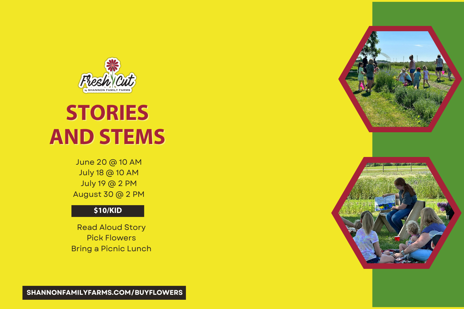 Stories and Stems