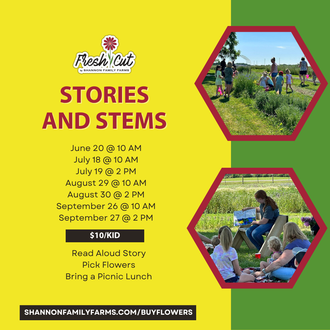 Stories & Stems 2026