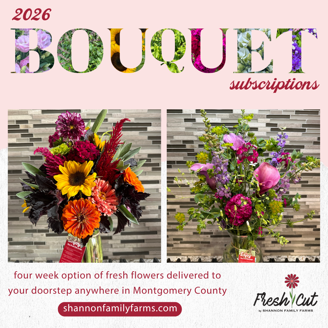 Bouquet Subscription 1.png