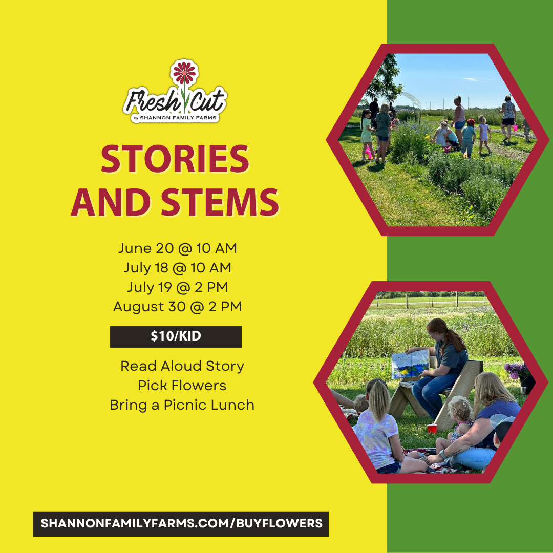 Stories & Stems 2026