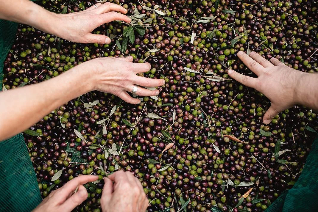 Terroir Tuscany | Photo: Ash Naylor